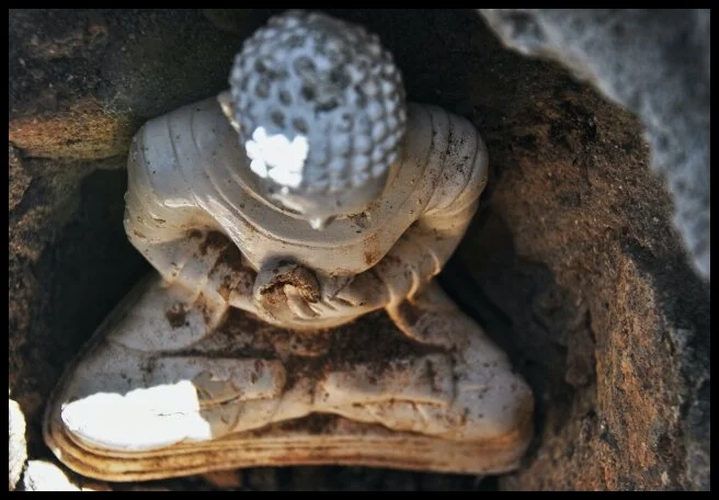 76 - Zen Desolation  (Arugam Bay, Sri Lanka)