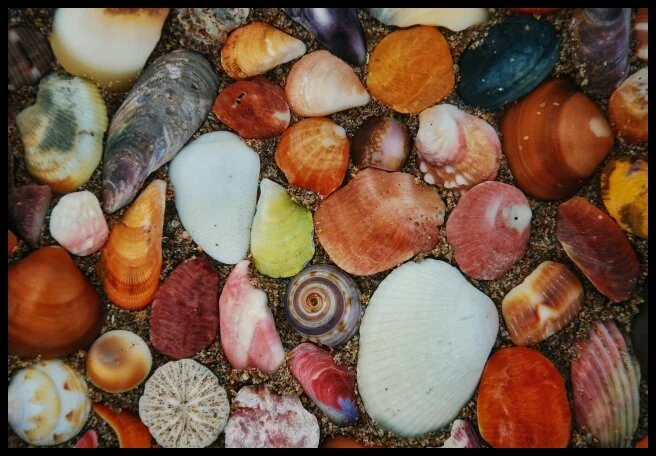 77 -Yala to Marakolliya Beach (Southern Province, Sri Lanka)