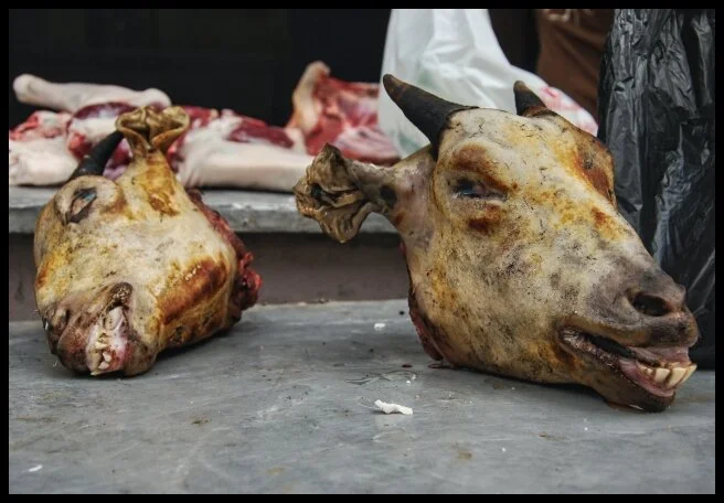 86 - Sugarplums (Thamel, Kathmandu, Nepal)