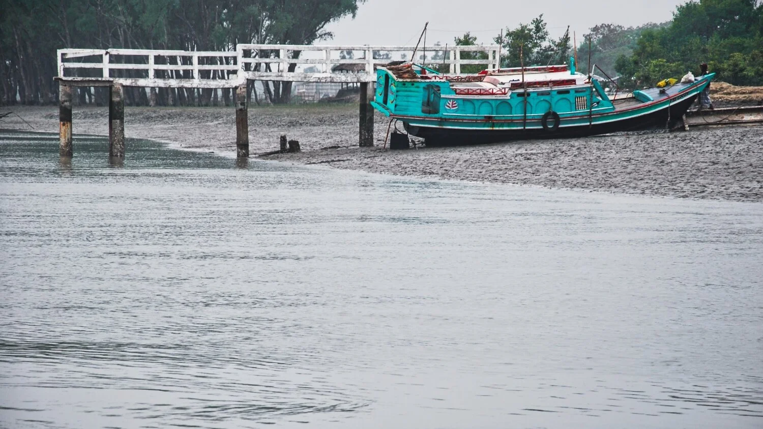 DSC_5807 copyLum.jpeg