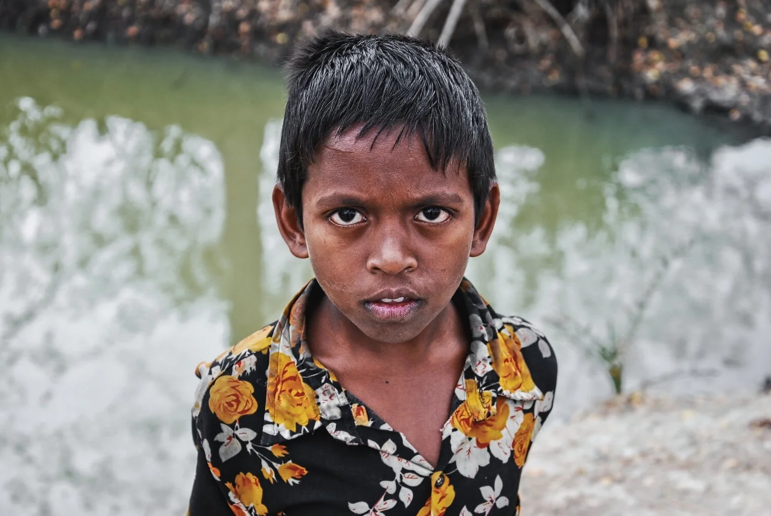 DSC_5830 copyLum.jpeg