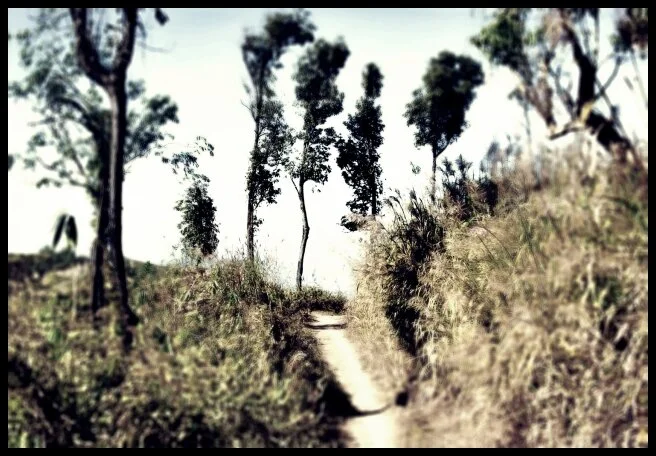 112 - Hill Country (Chittagong Hill Tracts, Bangladesh)