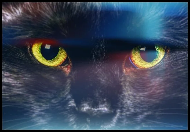 19 - Underbelly Bali (Black Magic, Indonesia)