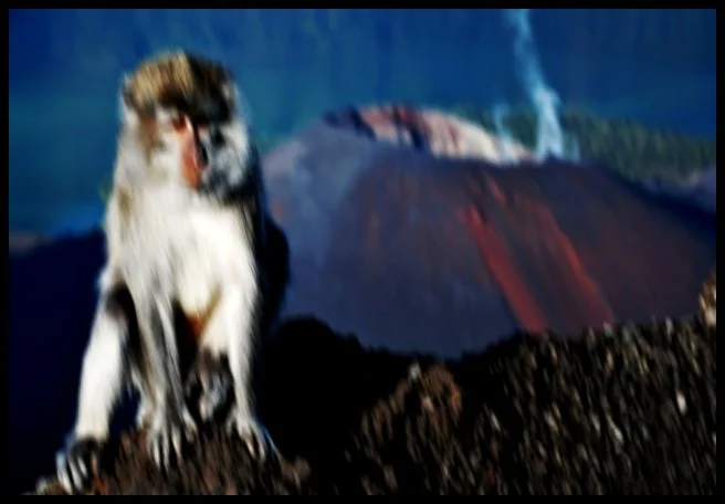 23 - Mt. Rinjani Before The Shake (Lombok, Indonesia)