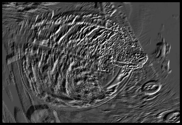 30 - Panic &amp; Pessimism (Komodo National Park, Indonesia)