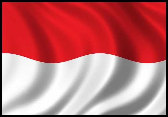 4 - Indonesia Timeline