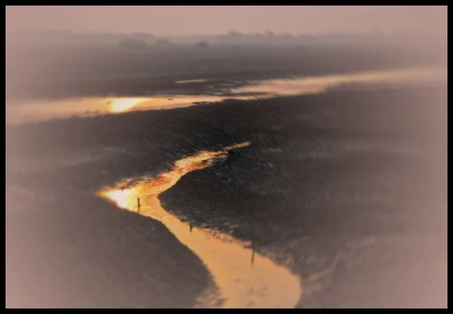 110 - “F” for Futility (Munshigonj, Bangladesh)