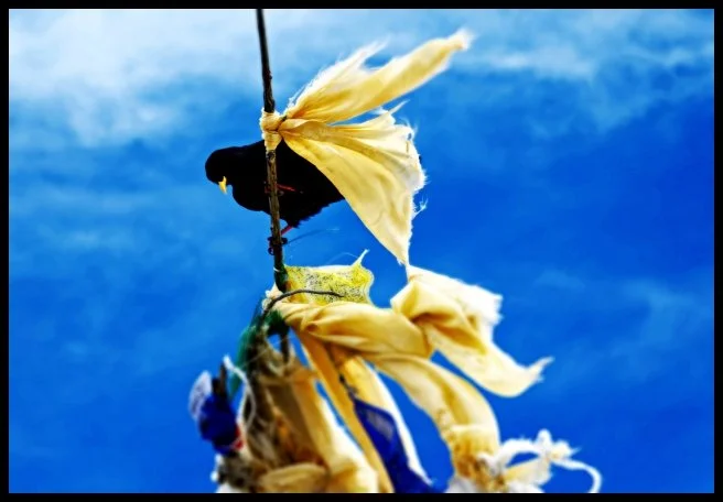 124 - Kongma La (Three Passes Trek, Nepal)