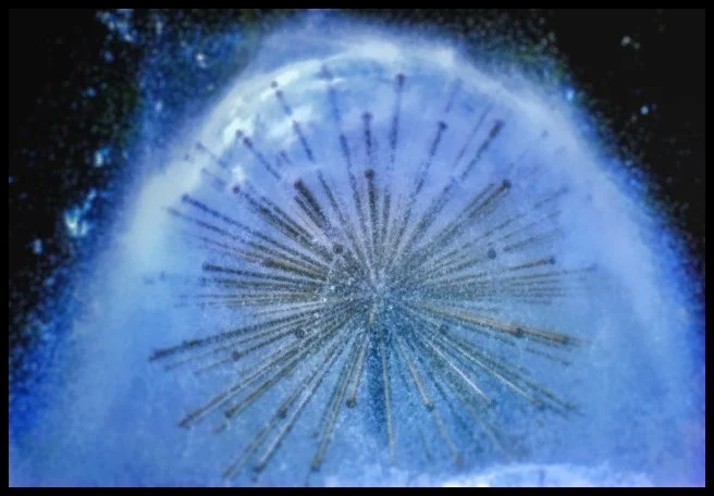 132 - Strolling Baku & The Hash House Harriers (Baku, Azerbaijan)