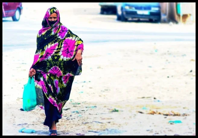 181 - The Elusive Cap Blanc (Nouadhibou, Mauritania)