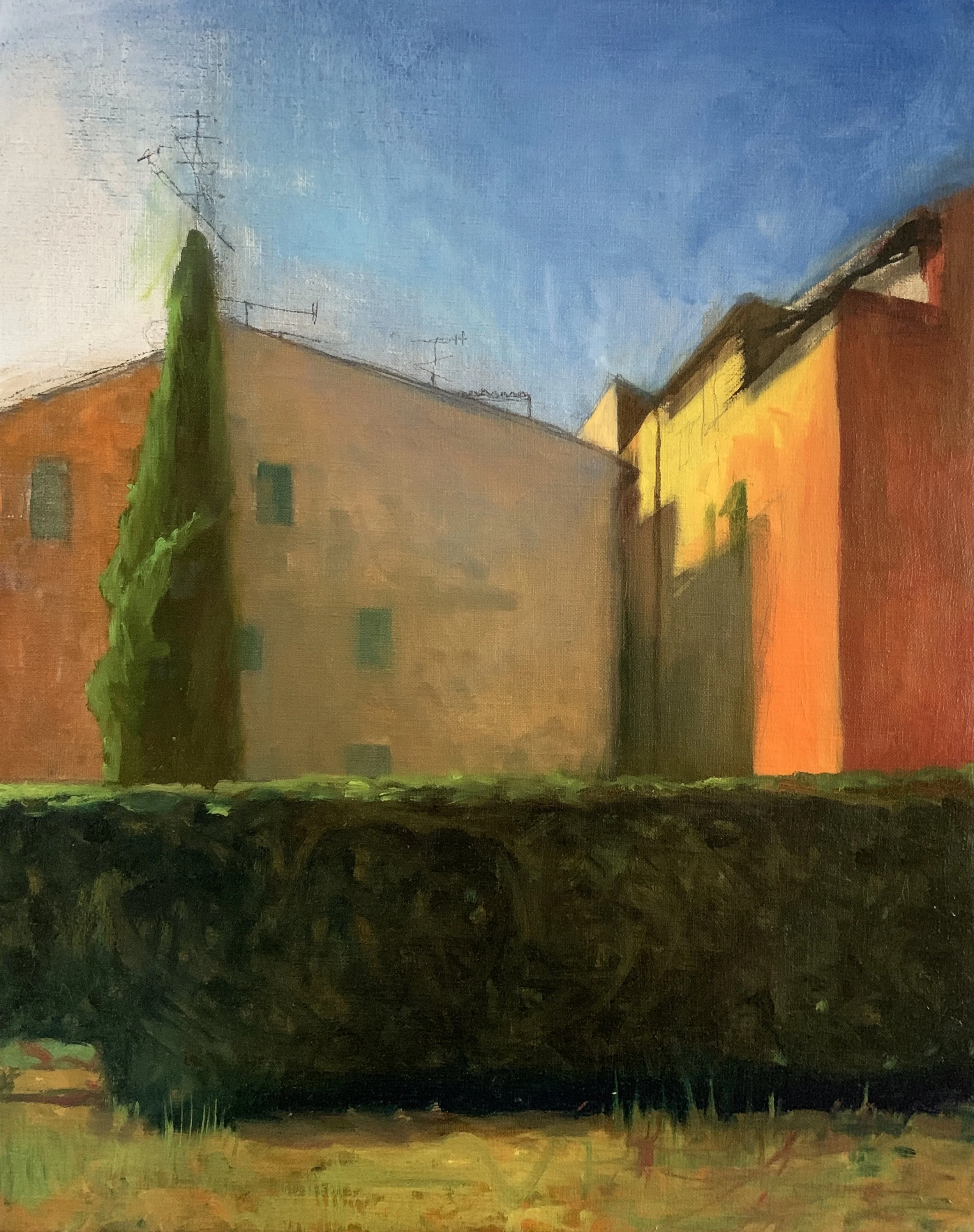Hedge, Viterbo, Italy