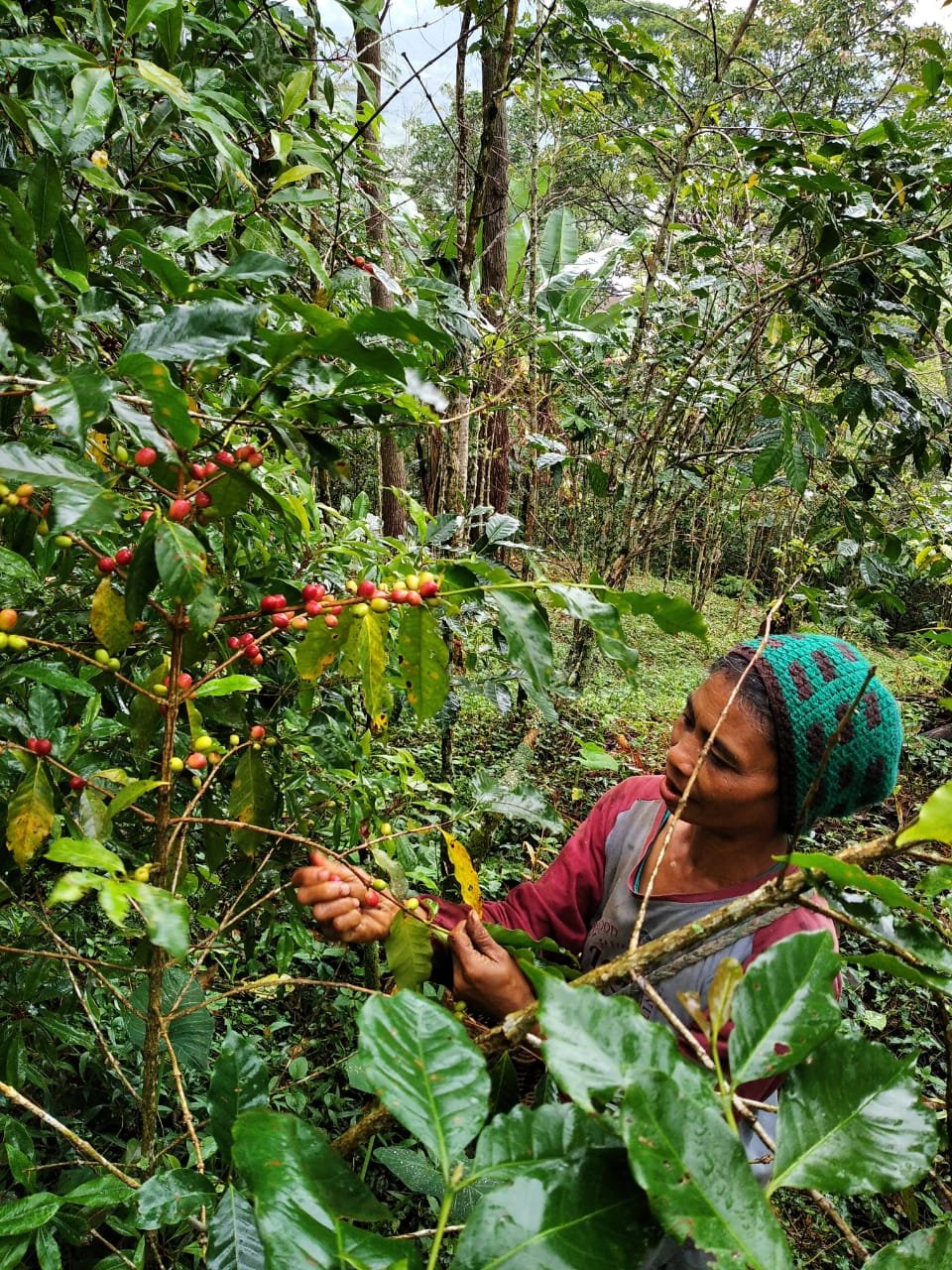 File_000_1_6fff2565-a607-4211-81a8-afbe97d2bef5 (1).jpg