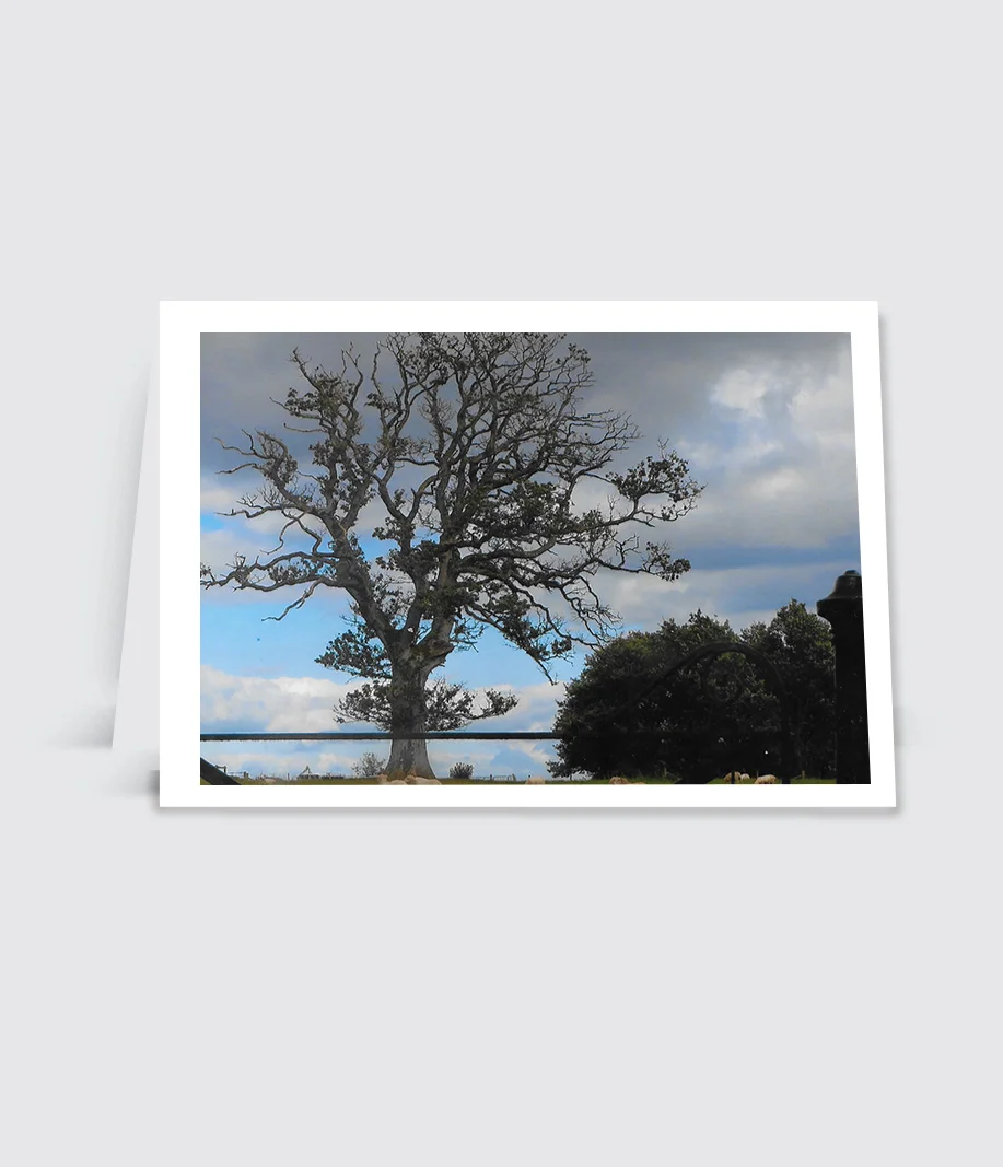 NC122-TreeBranches2.jpg