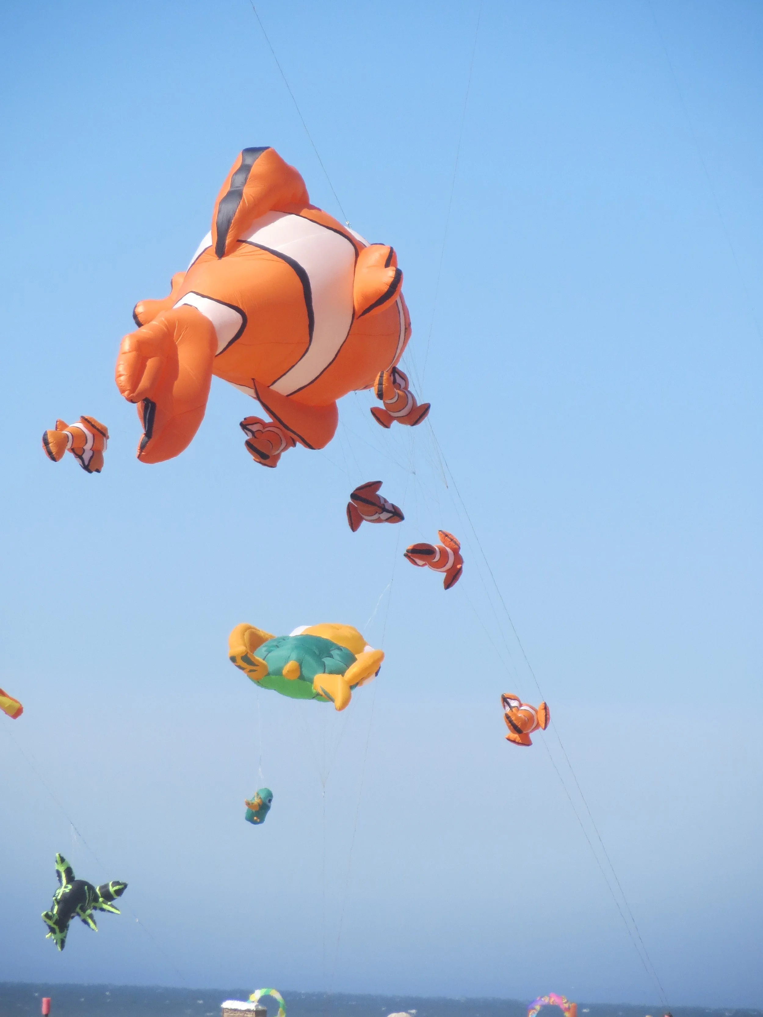 Clownfish Kite Family (Photograph, for card)