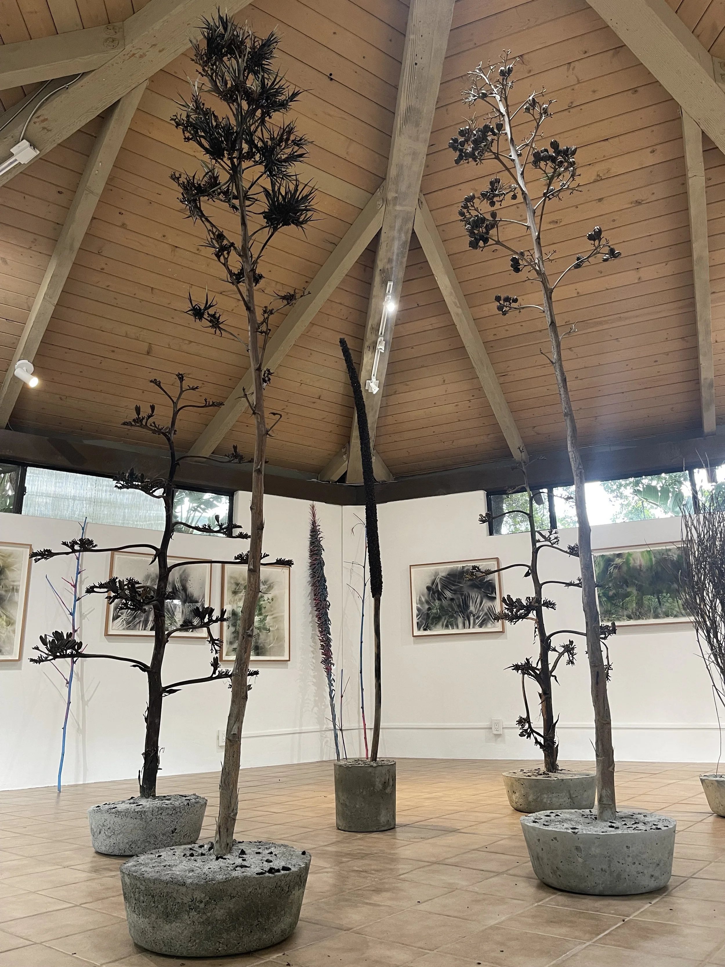 Natasha Wheat Studio Visit and Nature Preserve Walk