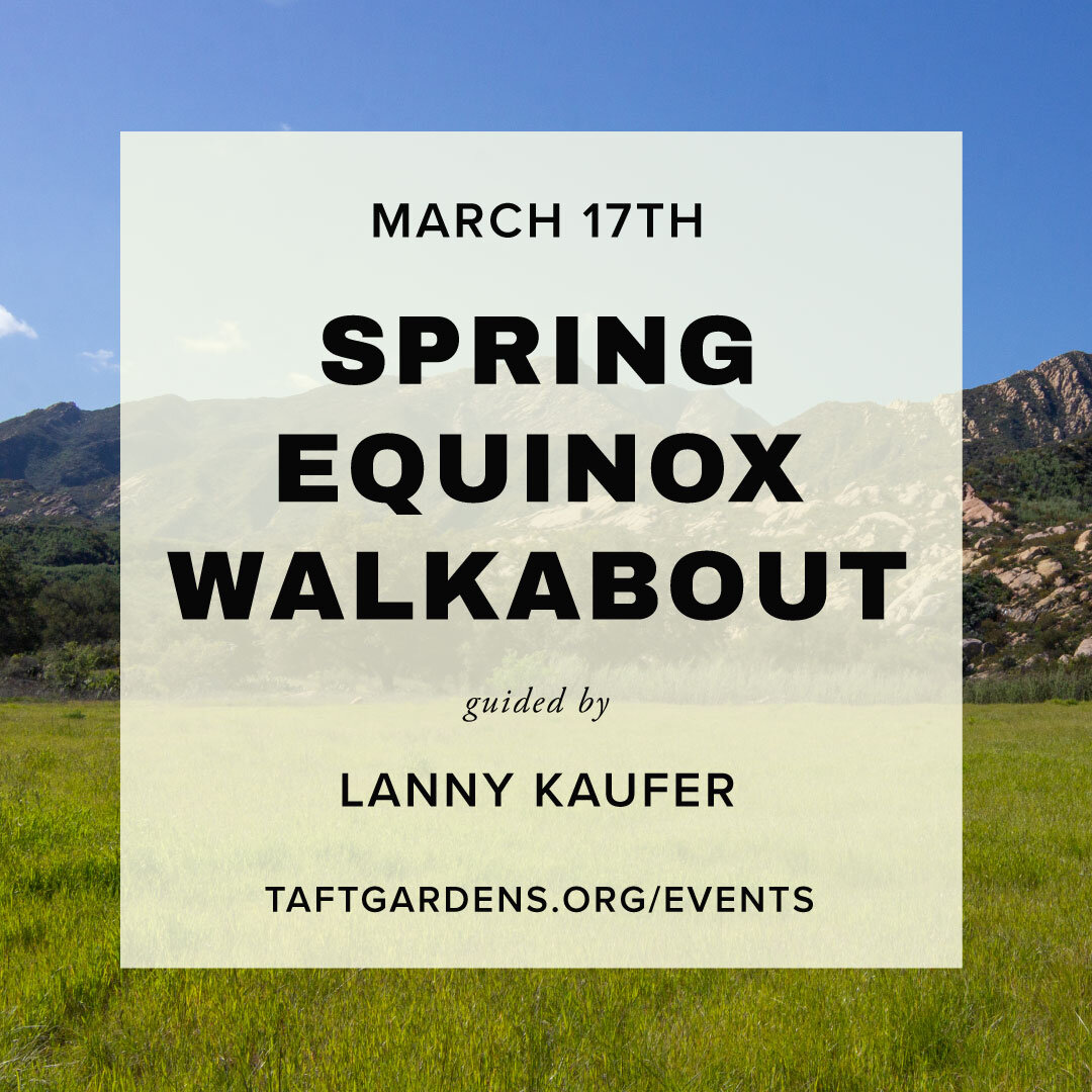 Join us for our first guided event of the season with Lanny Kaufer's Spring Equinox Walkabout this Sunday March 17th! 

&quot;Walkabout&quot; is a term rooted in traditional Australian culture, symbolizing a temporary return to a simpler way of life,