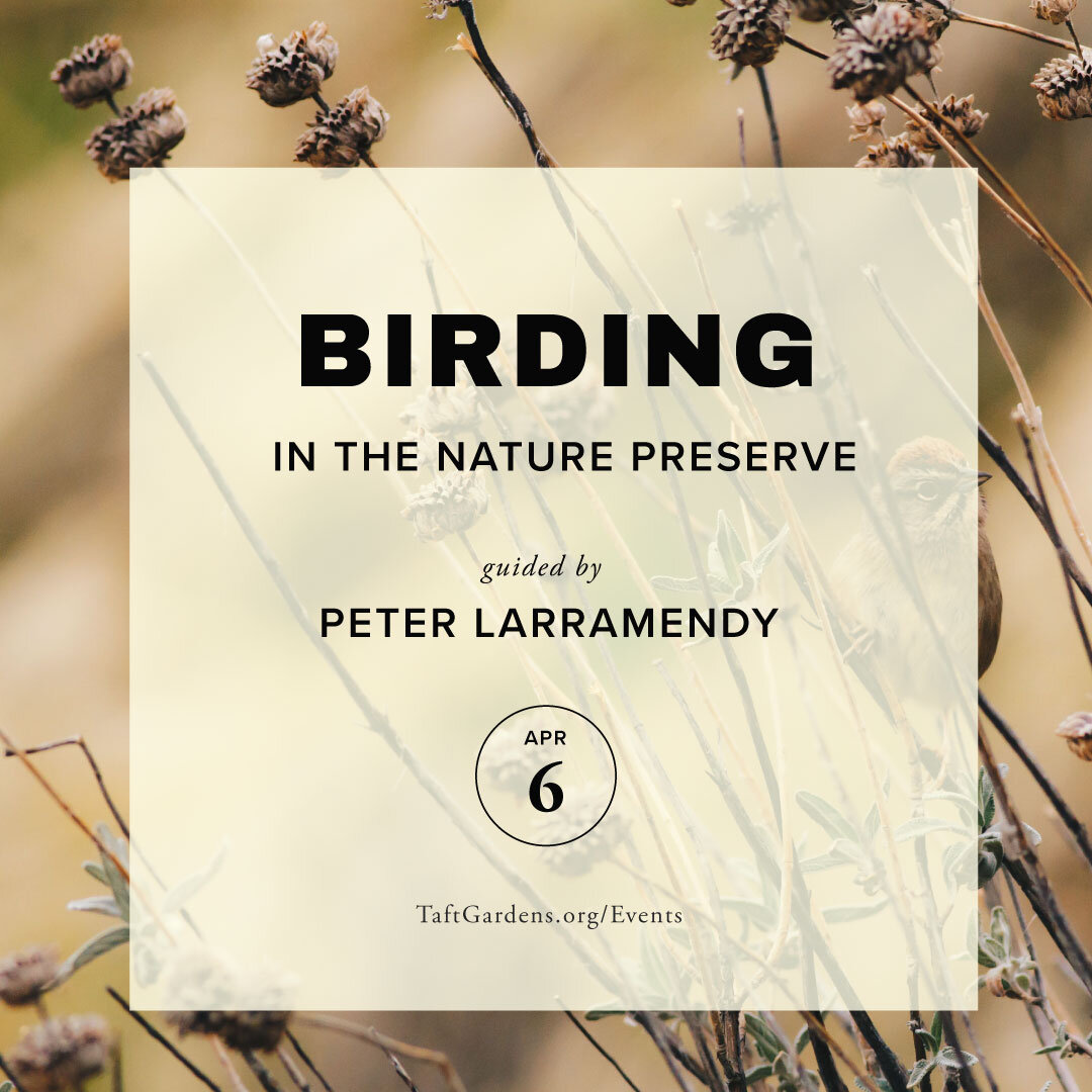 Only a few days are left to buy tickets for the first &quot;Intro to Birding,&quot; guided by local avian biologist Peter Larramendy. 

There are two opportunities to attend: 
April 6th in the Taft Nature Preserve and 
April 13th in the Botanical Gar
