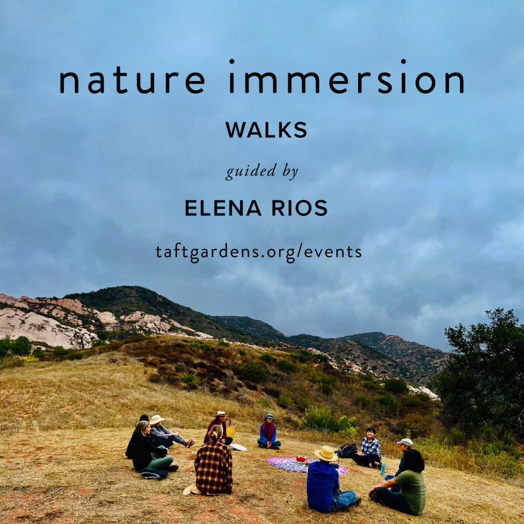 Join us for a Nature Immersion Walk guided by Elena Rios @elenarios.innernature

Saturday, April 20, 2024
9:00 AM 11:30 AM

Experience a slow, immersive nature connection walk that honors ancient human practices found in Indigenous Knowledge worldwid