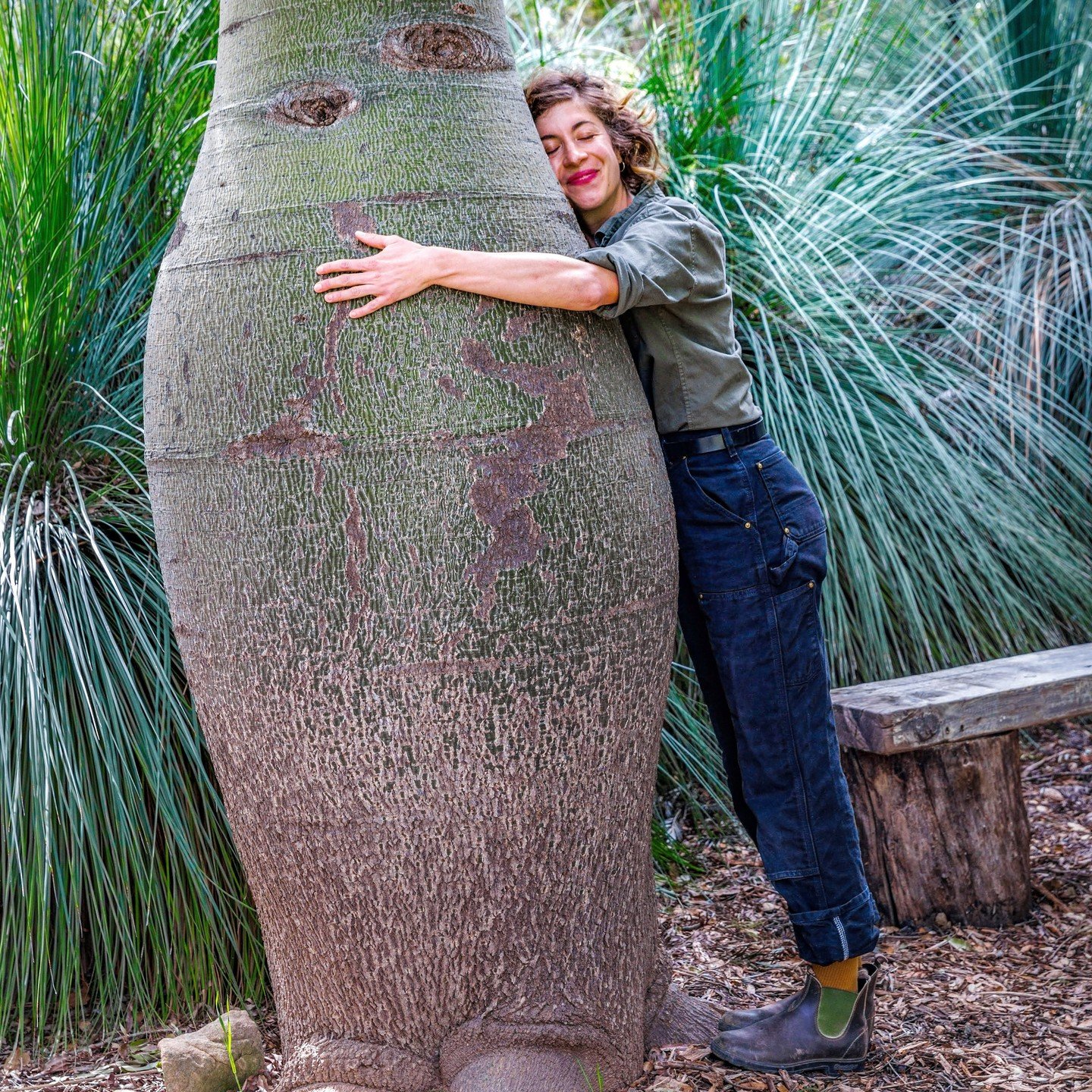In honor of Earth Day, we thought you might like to know that Taft Gardens &amp; Nature Preserve has the most huggable trees!

According to the Scottish Wildlife Trust, &quot;Research shows that spending time around trees can reduce stress, improve i