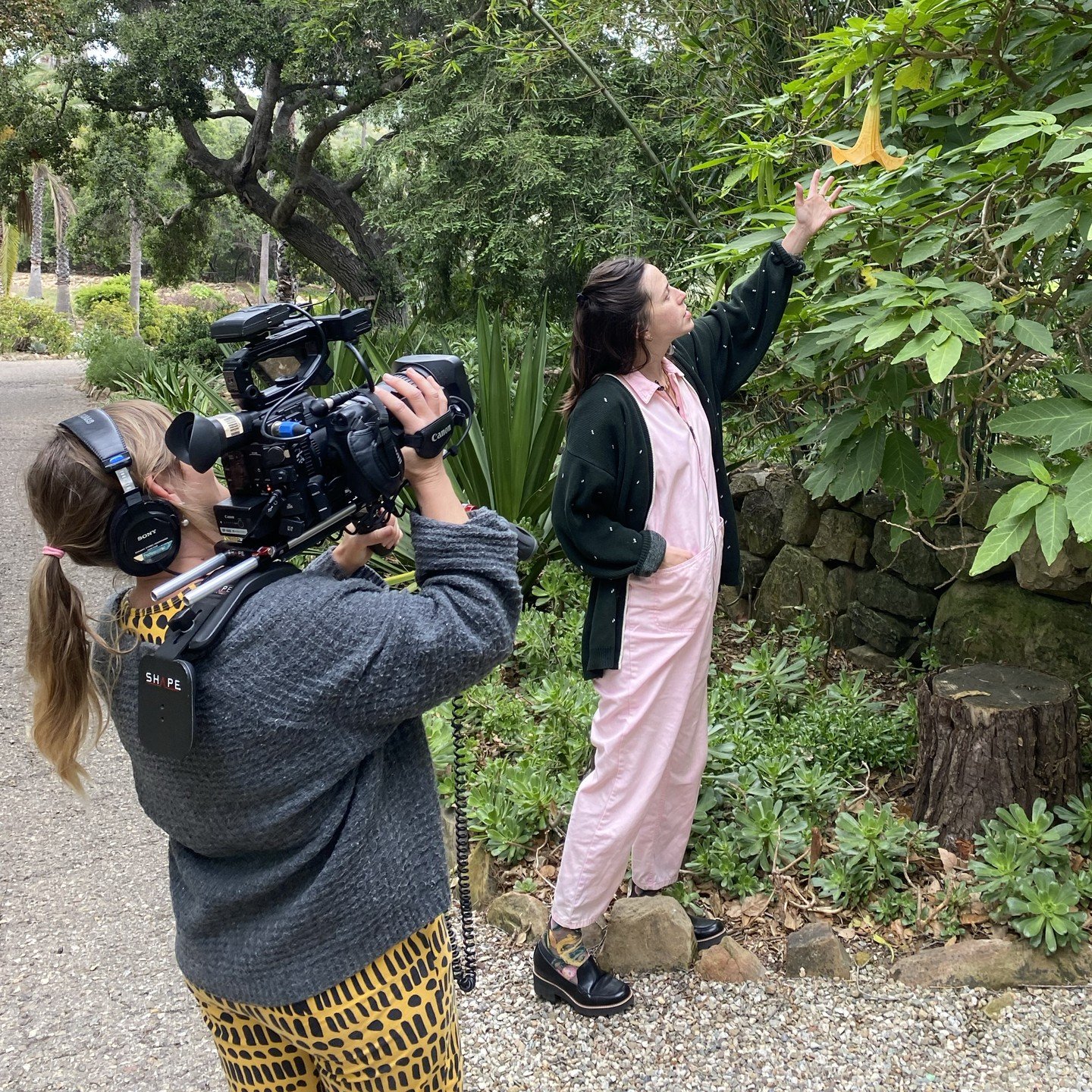 We want to thank multimedia producer Jessie O'Ward Sullivan @jessiebrixtoncat from UCSB and writer Debra Ollin Herrick @debra_ollin from UCSB and LUM Magazine for visiting Taft Gardens today. They are making a documentary video about our nine-month A