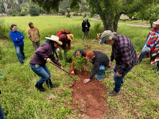 OAKtober Nature Immersion and Tree Planting with Elena Rios