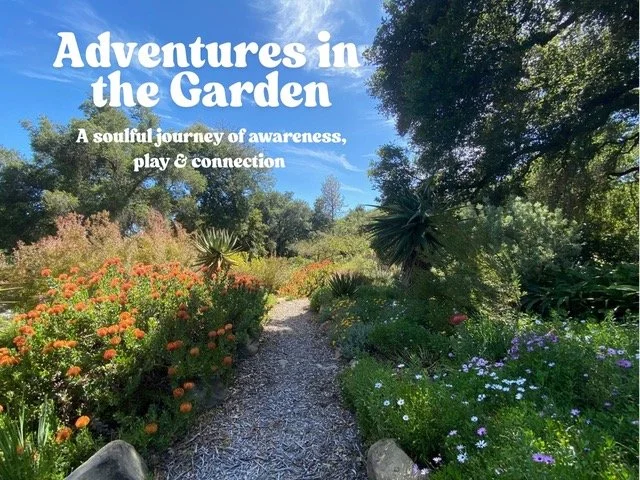 Adventures in the Garden