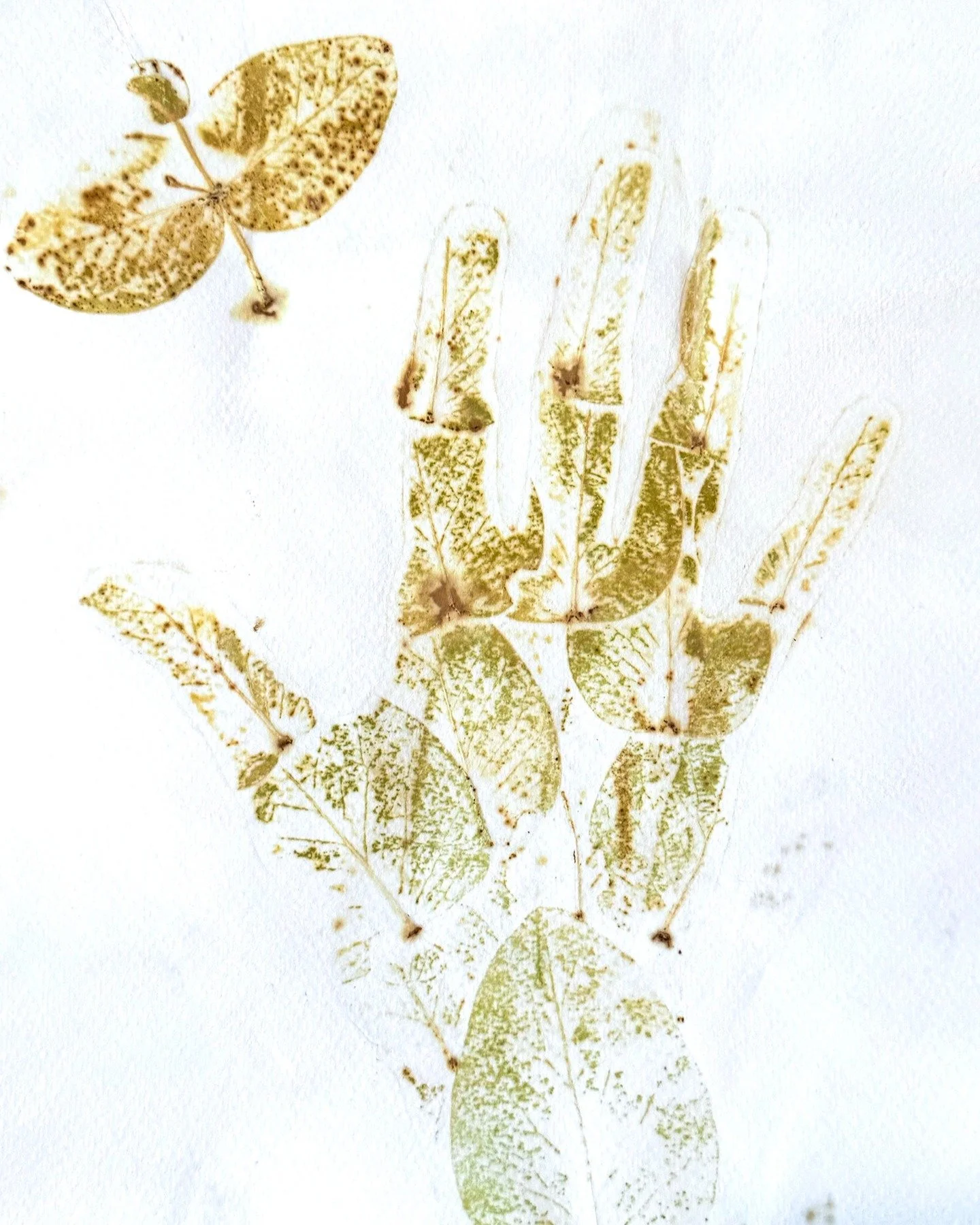 There are only four days left to apply for the Taft Gardens &amp; Nature Preserve Art in Nature Residency program! 

✨ Applications are due July 15th at 11:59 pm. 

We're highlighting our past residents this week and next to celebrate their accomplis