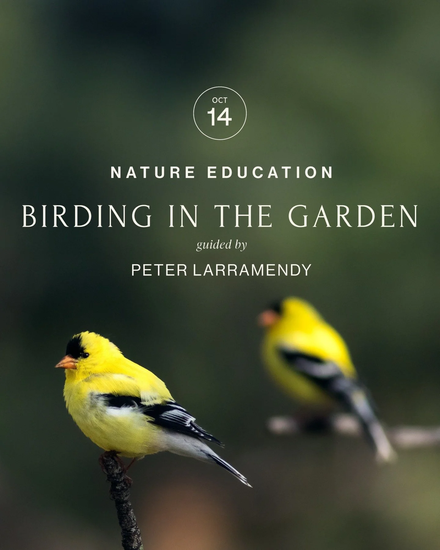 🐤

Please join us for Birding in the Garden.

Tuesday, October 14, 2025
8:30 AM 10:30 AM

Lead by local avian biologist, Peter Larramendy. Participants will learn the basics of birding, such as common birds of the Ojai Valley, diagnostic field marks