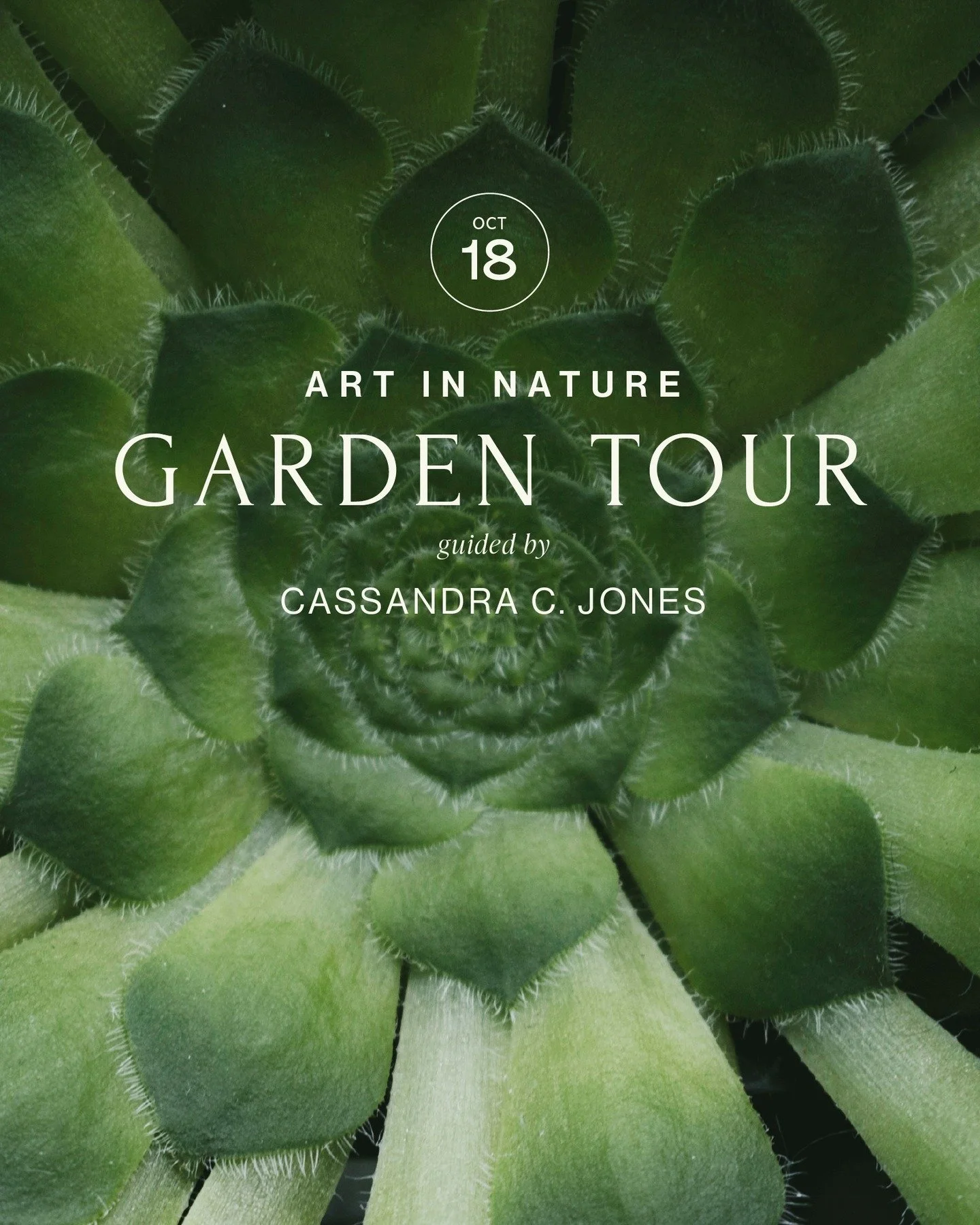 Join us for Art in Nature Walk with Cassandra C. Jones.

Saturday, October 18, 2025
9:30 AM 11:30 AM

Join Cassandra C. Jones, Artist and Arts Chair of our Residency Program at Taft, for a unique look at the property from a creative perspective. Jone