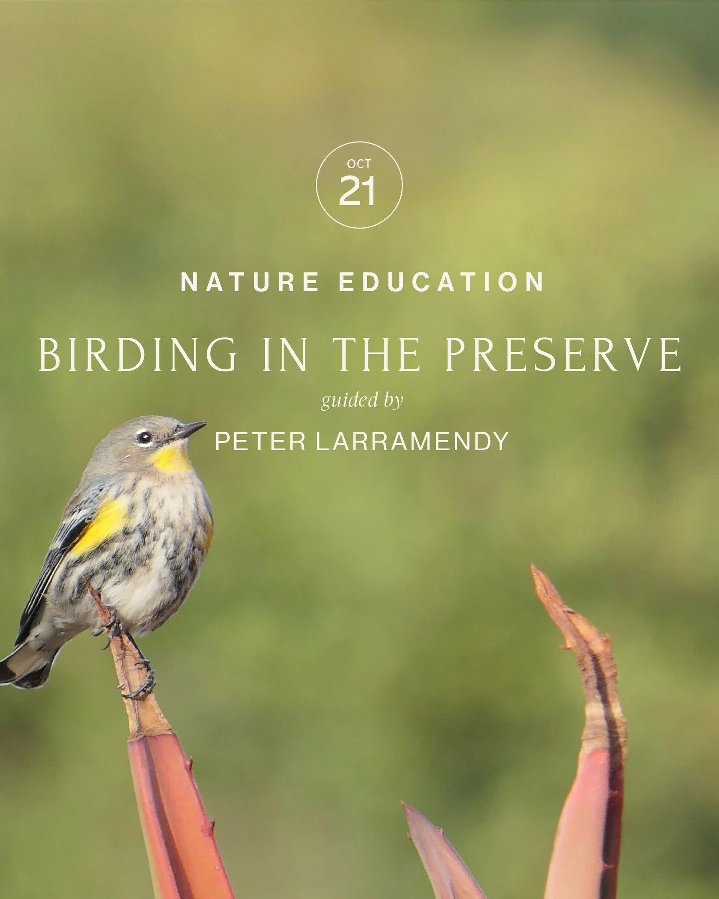 🐤 There is still time to get tickets for BIRDING IN THE NATURE PRESERVE

Tomorrow, Tuesday, October 21, 2025
8:30 AM&nbsp;&nbsp;10:30 AM

Lead by local avian biologist, Peter Larramendy, participants will learn the basics of birding, such as common 