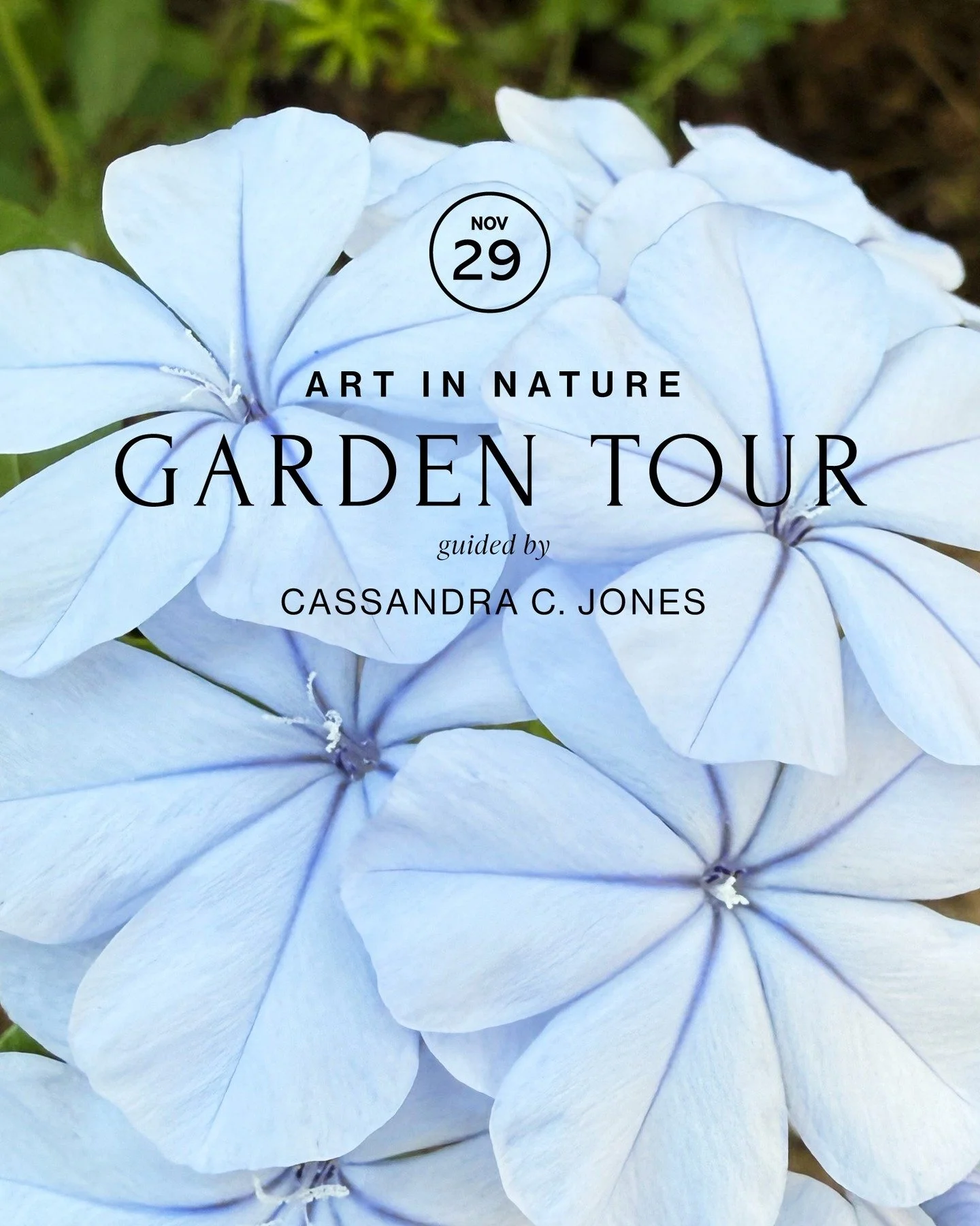 If you are looking for a fun and informative outdoor activity to share with out-of-town guests who are here for Thanksgiving, consider the Art in Nature Walk with Cassandra C. Jones

Saturday, November 29, 2025
9:30 AM 11:30 AM

This 2-hour walking t
