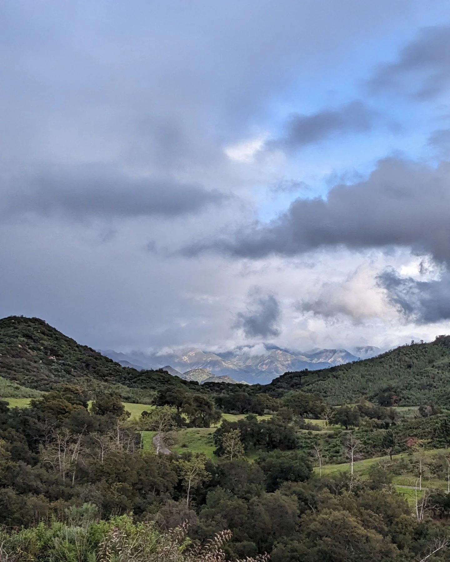 We are closed for the Holiday due to incoming storm. 

In preparation for a large incoming storm rolling in tonight, Taft Gardens will be closed to the public this Wednesday, December 24th - Saturday, December 27th or until the water recedes from the