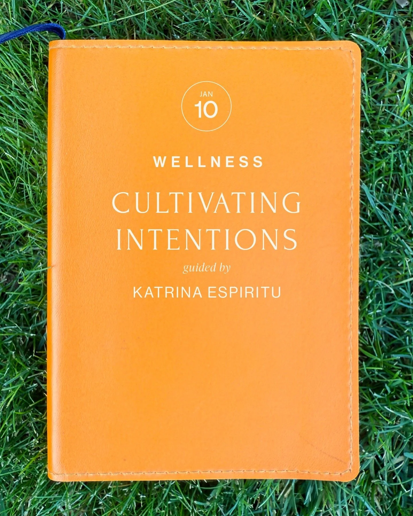 When the rain has cleared and the creek waters subside, we will be hosting a new offering: Cultivating Intentions with Katrina

Saturday, January 10, 2026
10:00 AM 12:30 PM

Winter is a season for rest and quiet beginnings. In this writing workshop, 