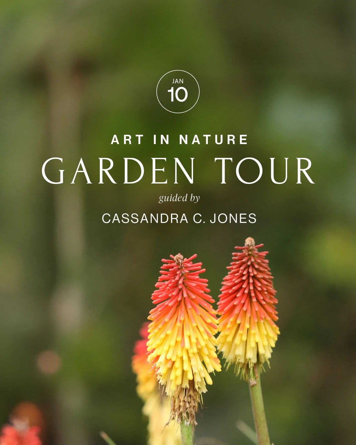 Art in Nature Walk with Cassandra C. Jones

Saturday, January 10, 2026
12:00 PM - 2:00 PM

Join Cassandra C. Jones, Artist and Arts Chair of our Residency Program at Taft, for a unique look at the property from a creative perspective. Jones will guid