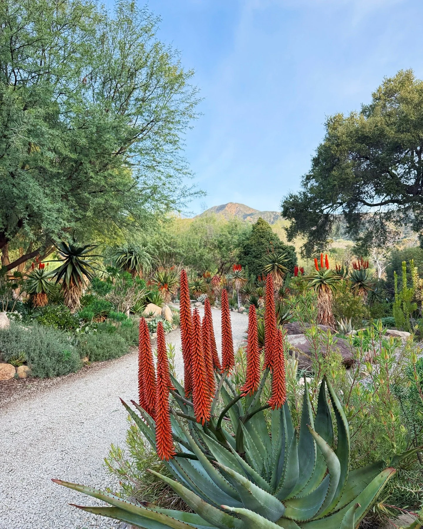 We are thrilled to announce that we are ready to reopen after all the recent rain, with self-guided visits available Thursday-Saturday, and several Guided Events over the next few weekends. 

After receiving another record-breaking amount of rainfall