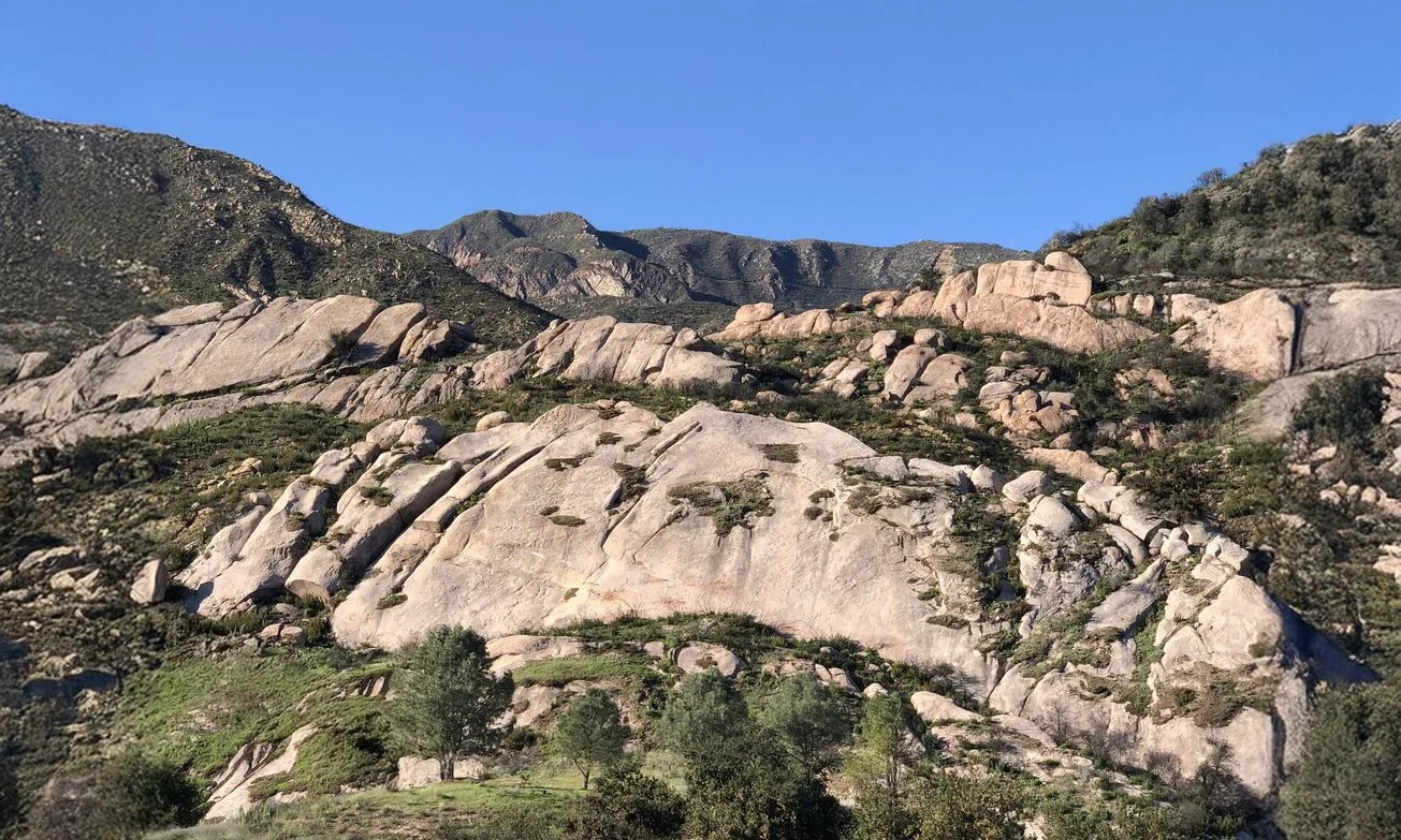 Geology Walk with Thomas Davis, PhD
