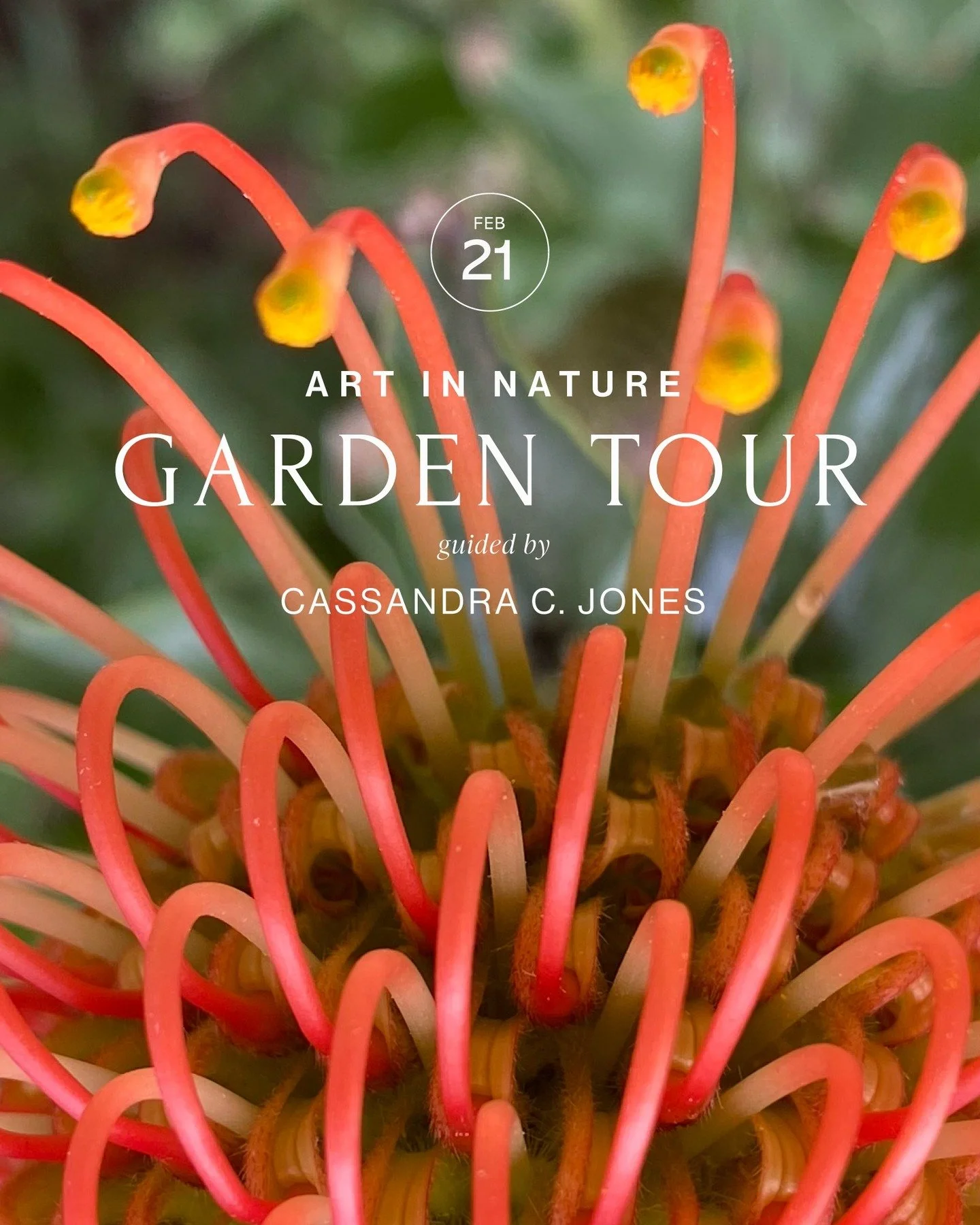 Pssst... I don&rsquo;t know who needs to hear this, but guided tours in secret gardens make great Mystery Date gifts for those you love! 💕

For instance... upcoming Art in Nature Walk with Cassandra C. Jones.

Saturday, February 21, 2026
9:30 AM 11: