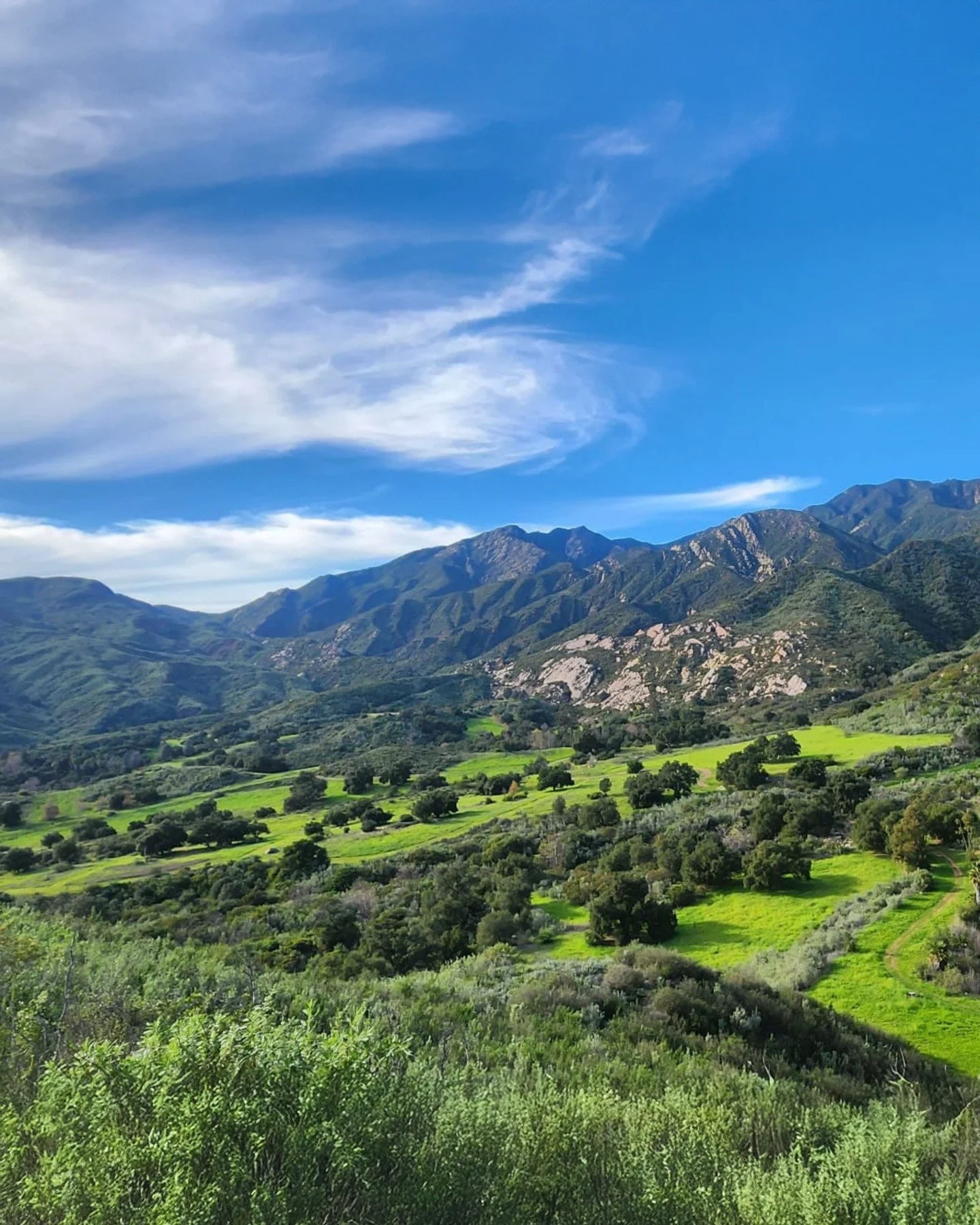 ⛰️✨ Surrounding Taft&rsquo;s cultivated gardens are over 200 acres of open space bordered by the Los Padres Forest. Our proximity to wilderness makes our Nature Preserve a window into the back country, where native California flora and fauna thrive i