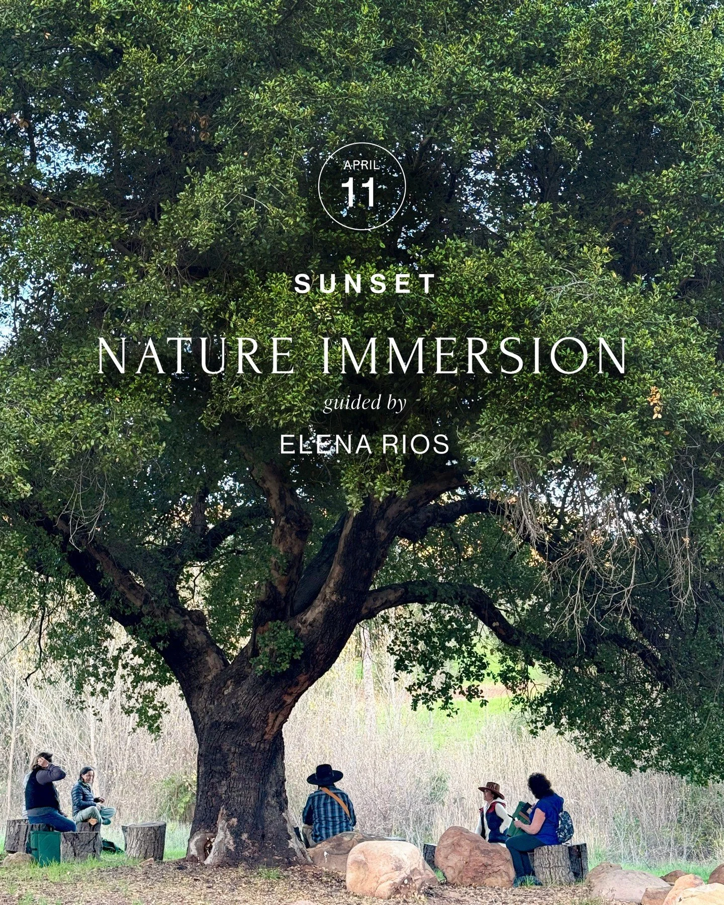 Join us for a Sunset Nature Immersion with Elena Rios @elenarios.innernature.

Saturday, April 11, 2026
5:00 PM 7:00 PM

The importance of our relationship to land, plants, and place is rooted in ancestral Indigenous Knowledge all over the world. Exp