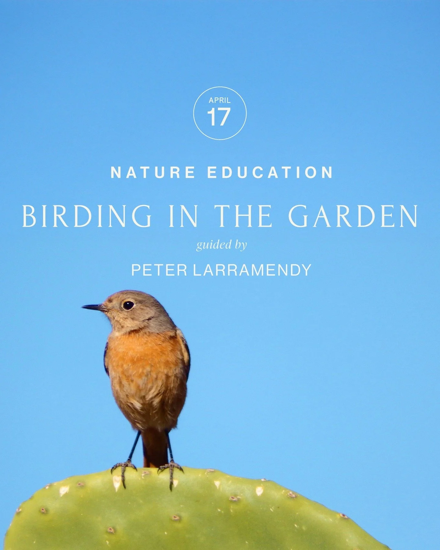 Join us for Birding in the Garden

Friday, April 17, 2026
8:30 AM 10:30 AM

Lead by local avian biologist, Peter Larramendy. Participants will learn the basics of birding, such as common birds of the Ojai Valley, diagnostic field marks, important hab