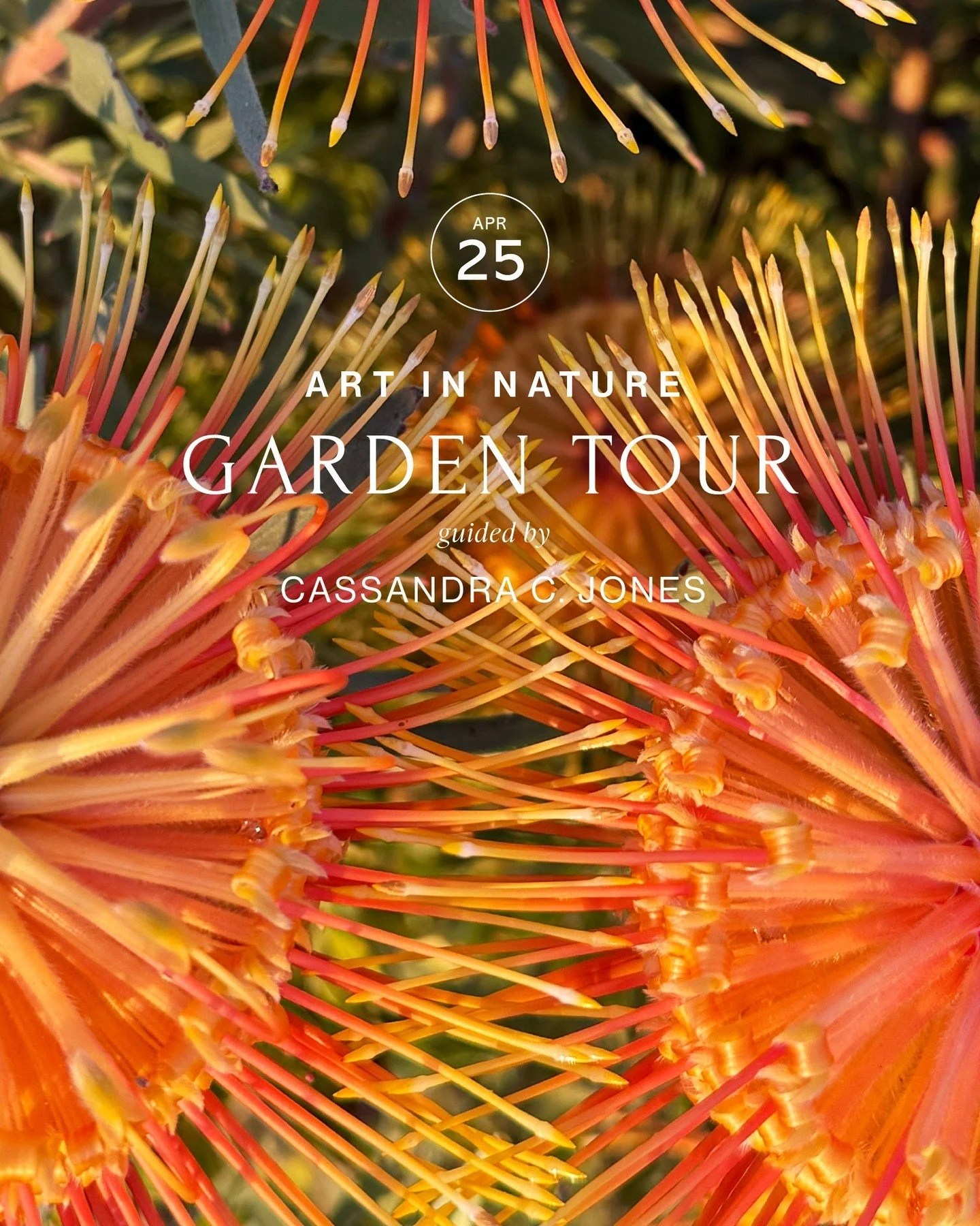 🦠 Art in Nature Walk with Cassandra C. Jones

Saturday, April 25, 2026
9:30 AM 11:30 AM

Join Artist and Arts Chair of our Residency Program at Taft Gardens &amp; Nature Preserve, for a unique look at the property from a creative perspective. Jones 