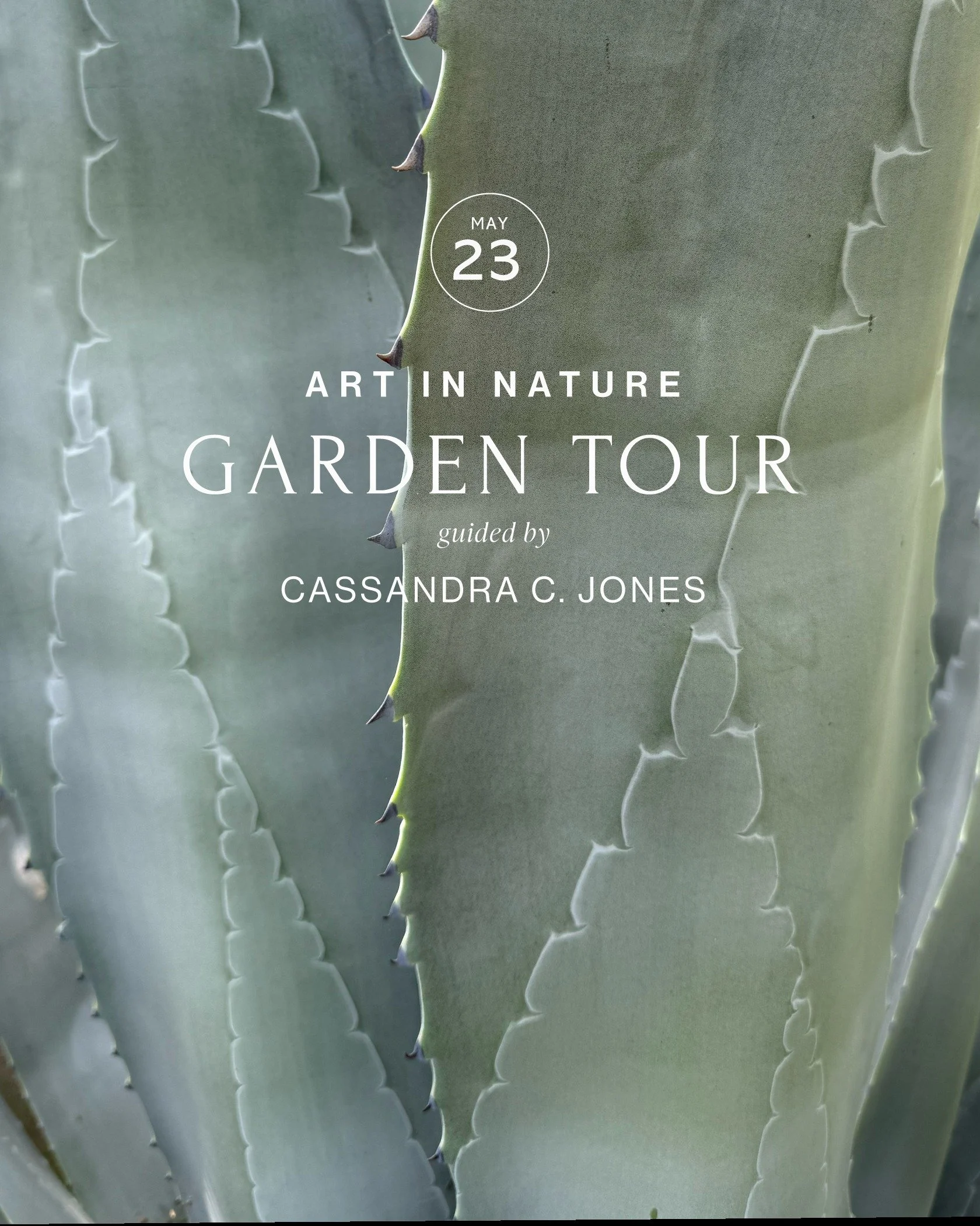 Art in Nature Walk with Cassandra C. Jones

Saturday, May 23, 2026
9:30 AM 11:30 AM

Join Cassandra C. Jones, Artist and Arts Chair of our Residency Program at Taft, for a unique look at the property from a creative perspective. Jones will guide gues