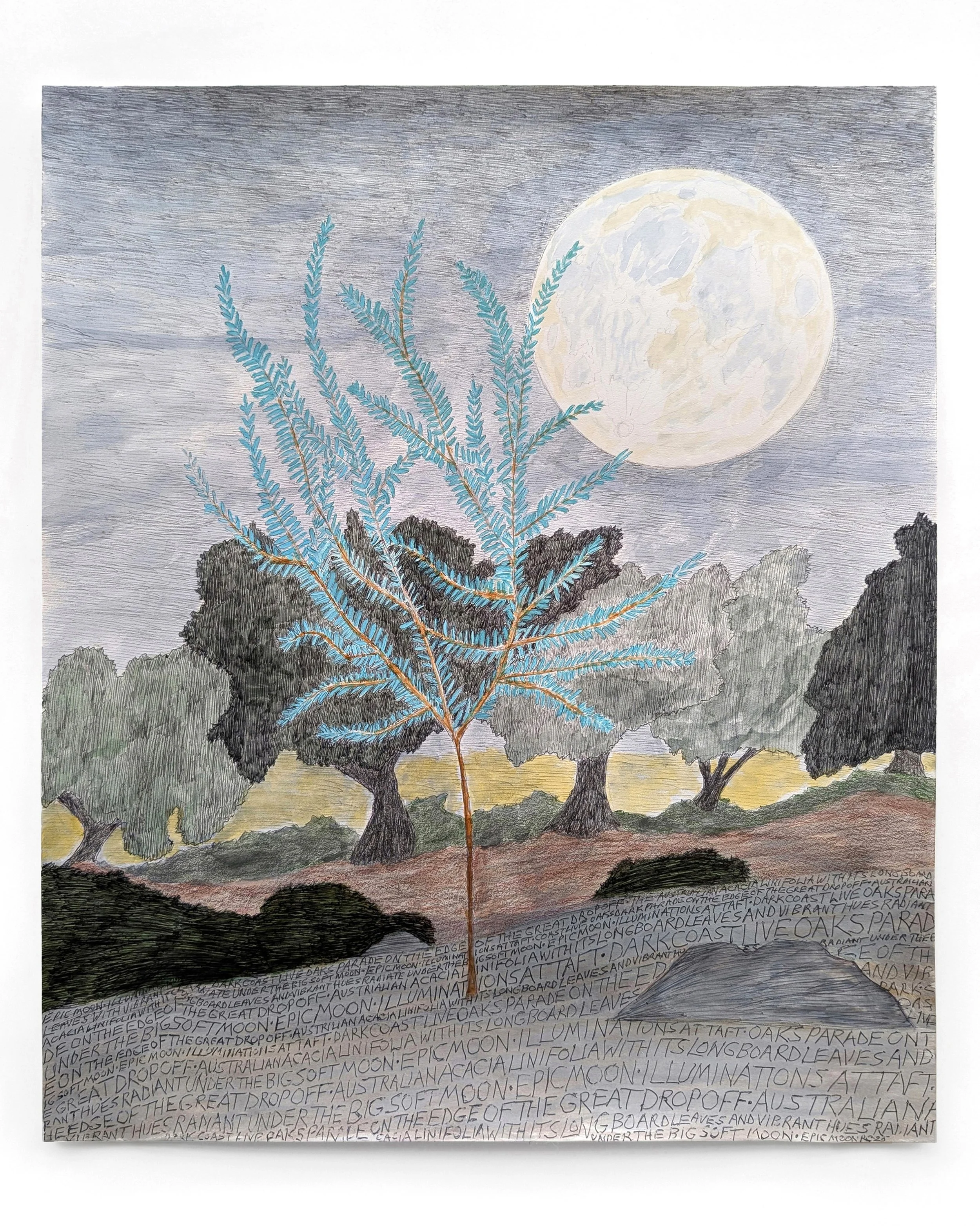 ⭐ INVITATIONAL ARTIST SPOTLIGHT

Each year, Taft Gardens &amp; Nature Preserve selects one Invitational Artist-in-Residence. This artist is either at a peak in there career, or they are uniquely compatible with our program, and we are interested in w