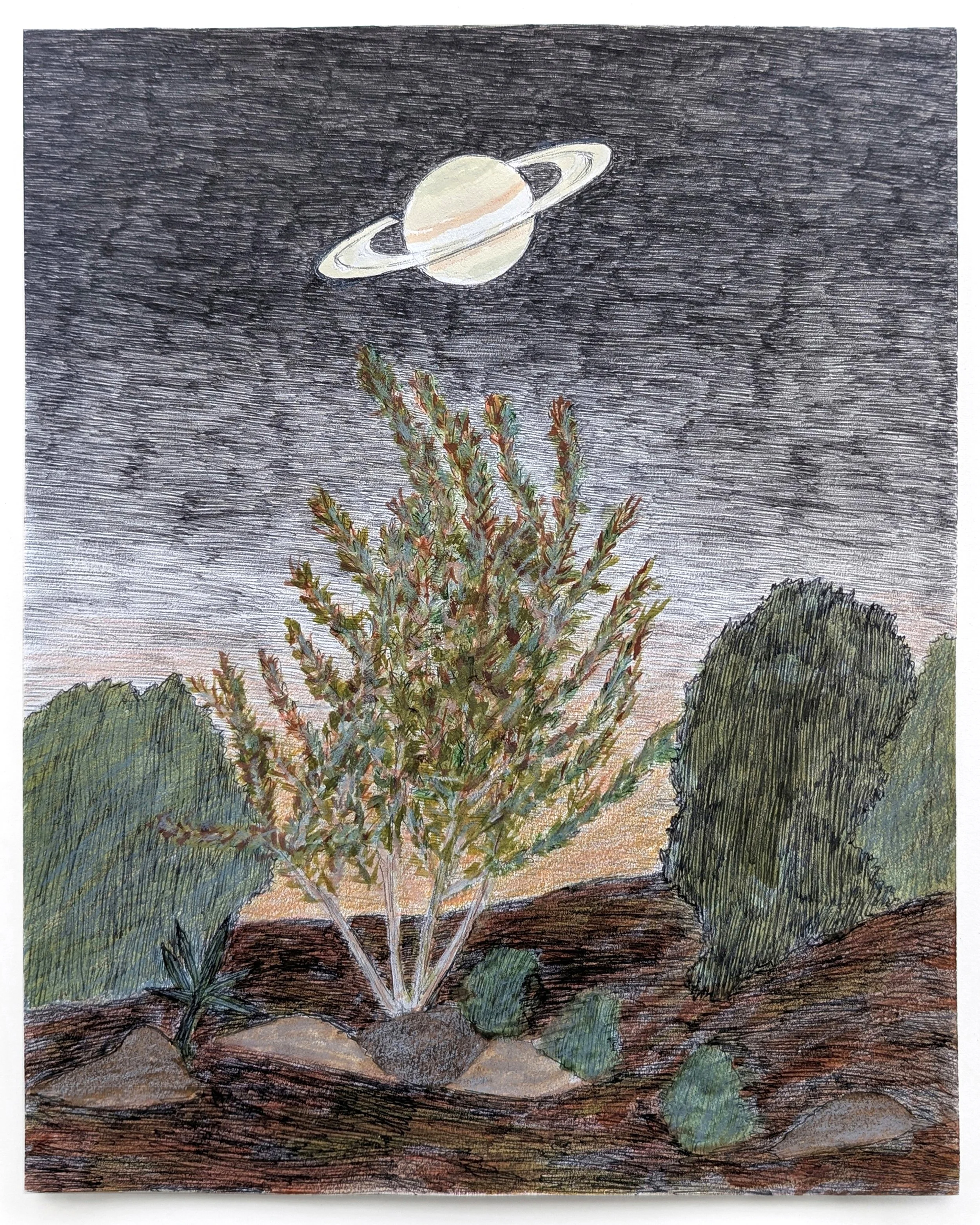 Saturn Above the Autumn Gardens, 2026