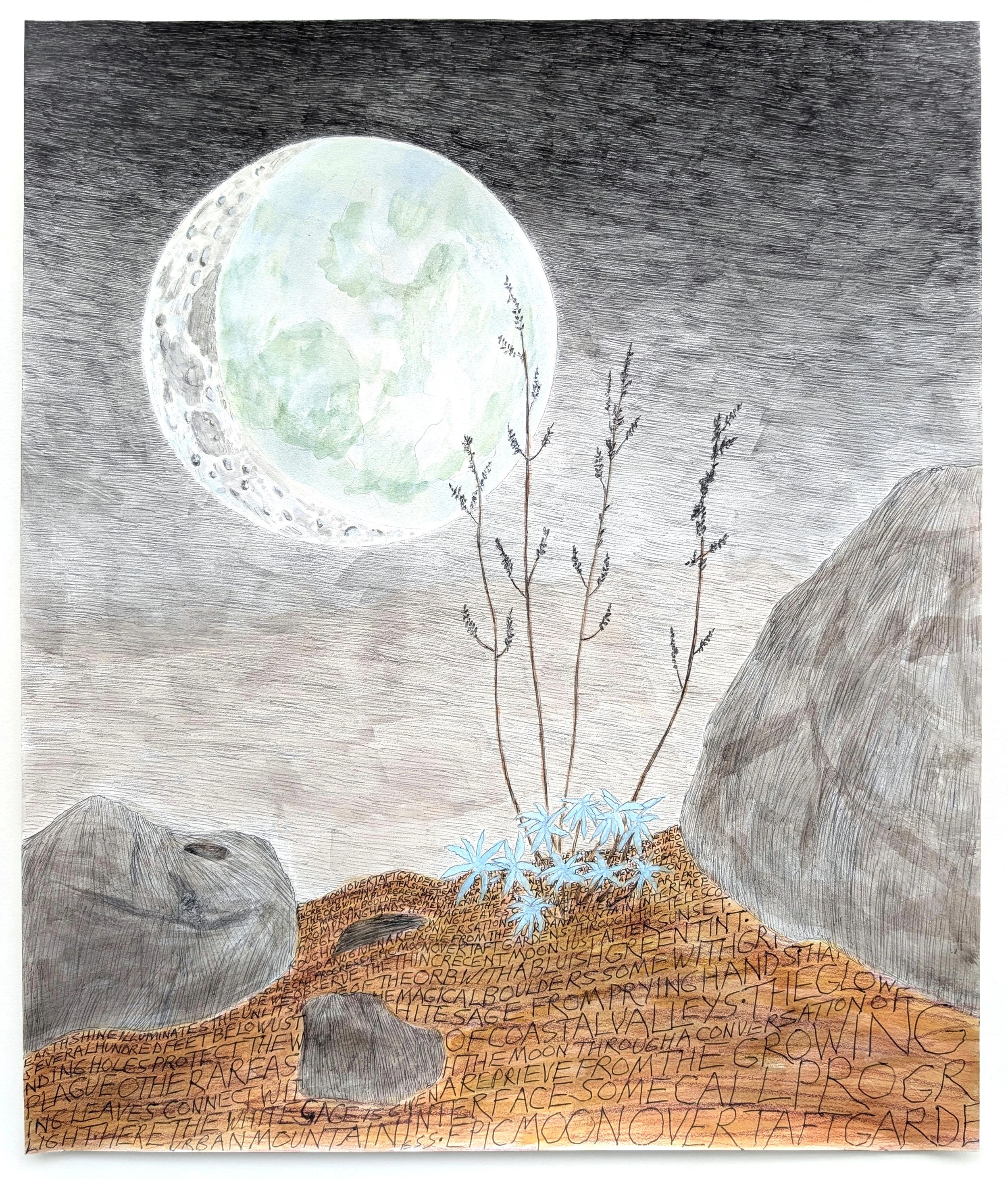 Crescent Moon Over Taft White Sage, 2025