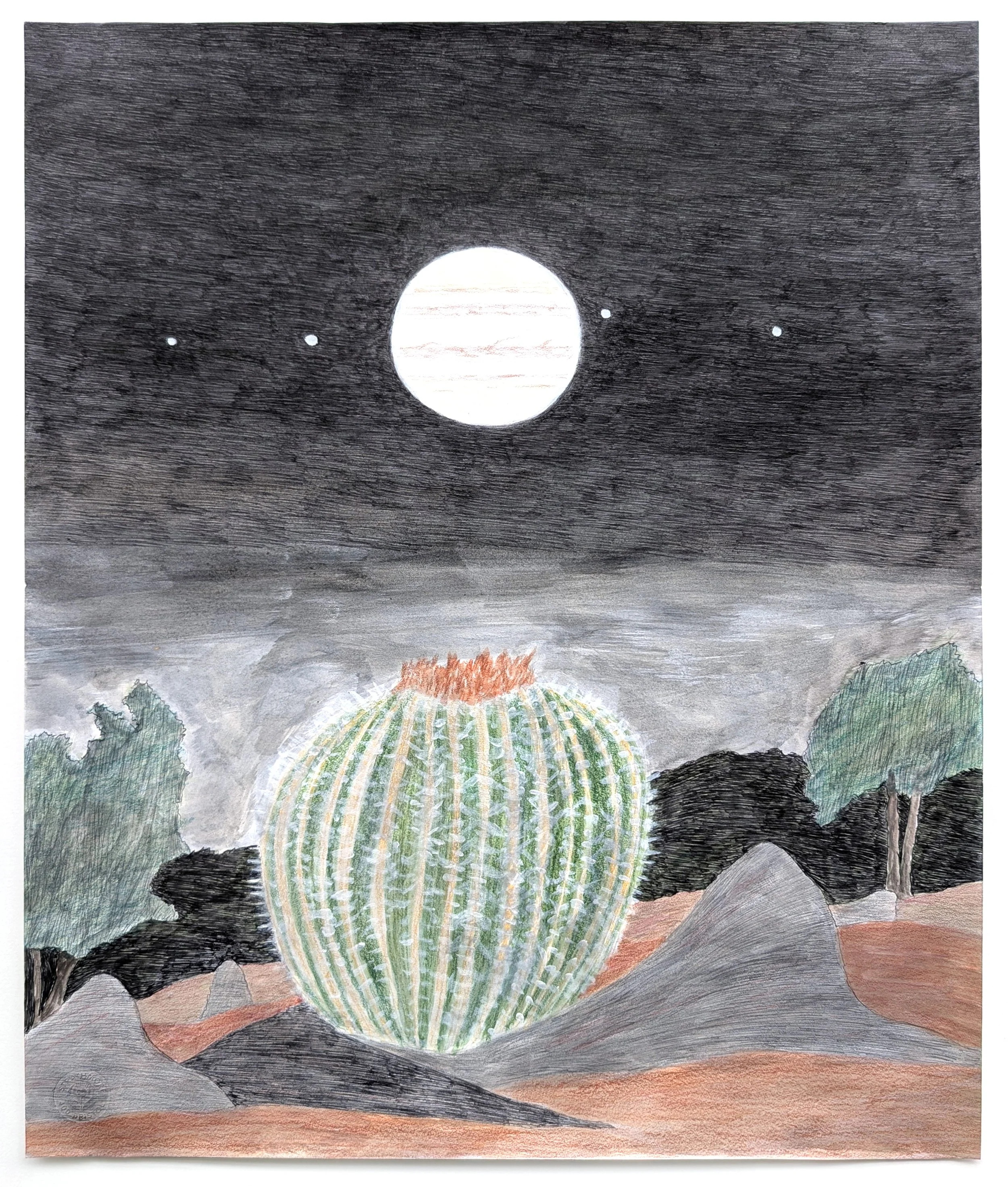 Taft Barrel Cactus with Jupiter, 2025