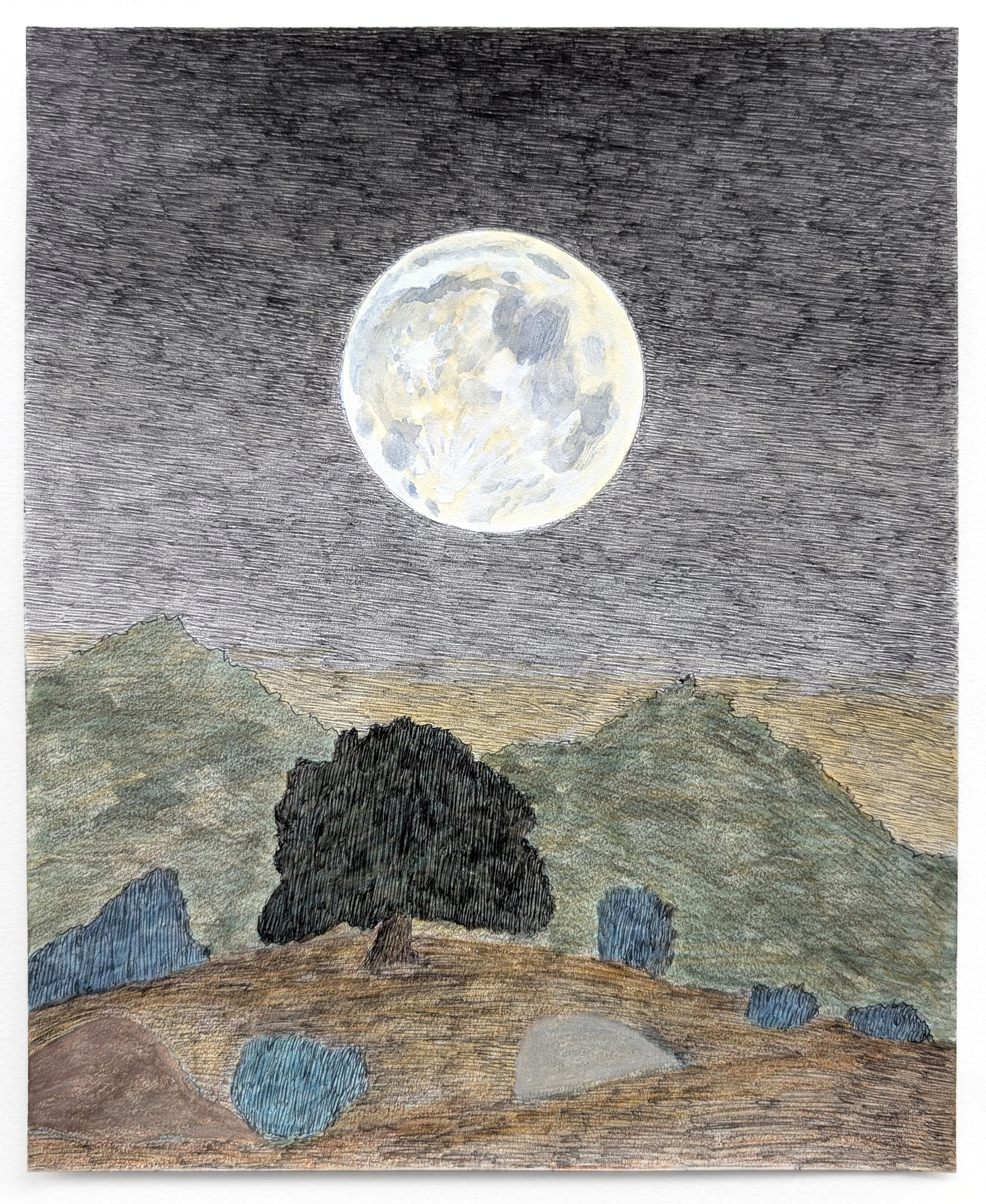 Classic Coast Live Oak Upper East Meadow at Taft Gardens with Epic Moon, 2025