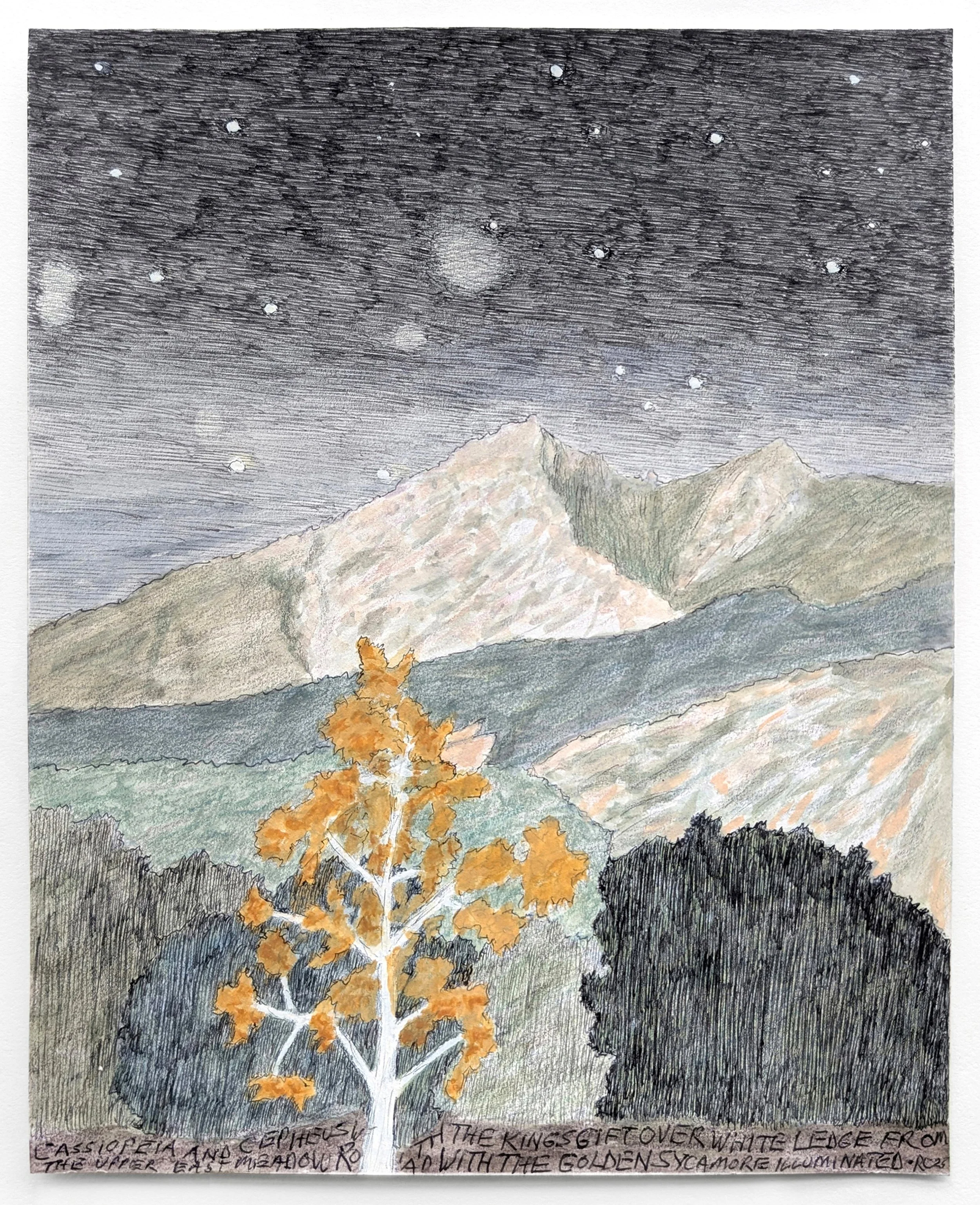 Golden Sycamore with Cepheus and Cassiopeia and White Ledge, 2025