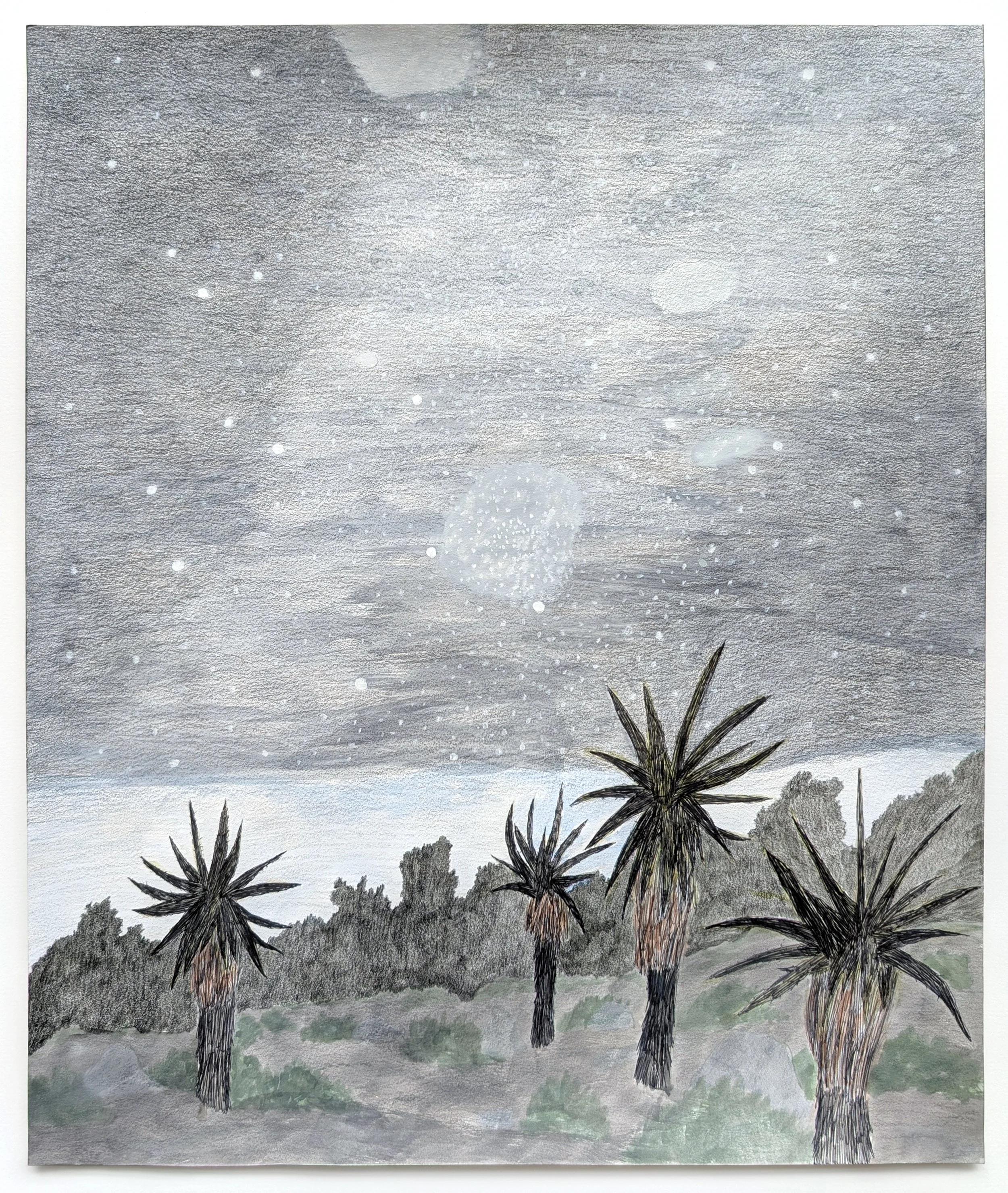 South African Aloes with the Galactic Center, 2025  