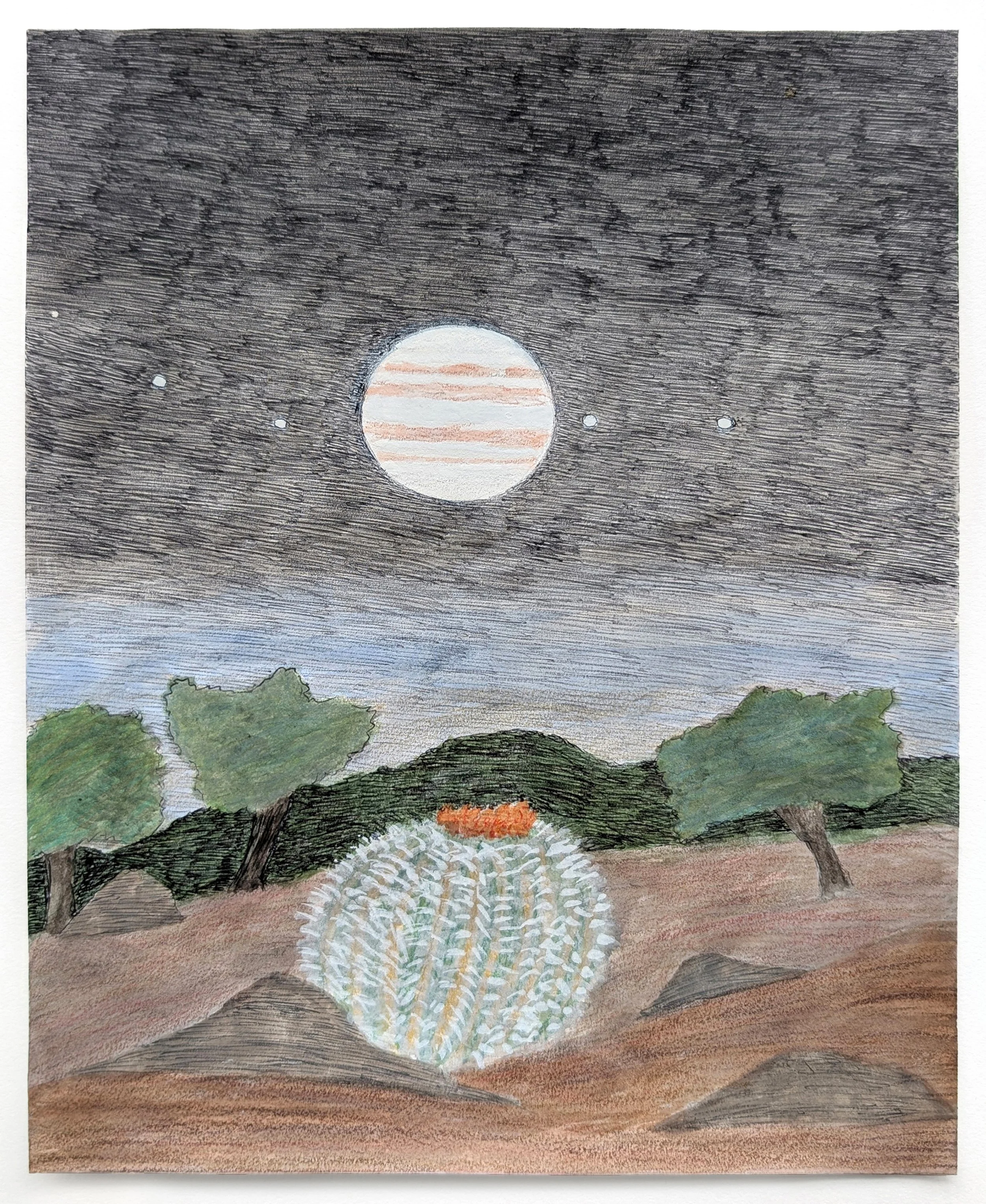 Barrel Cactus with Jupiter, 2025